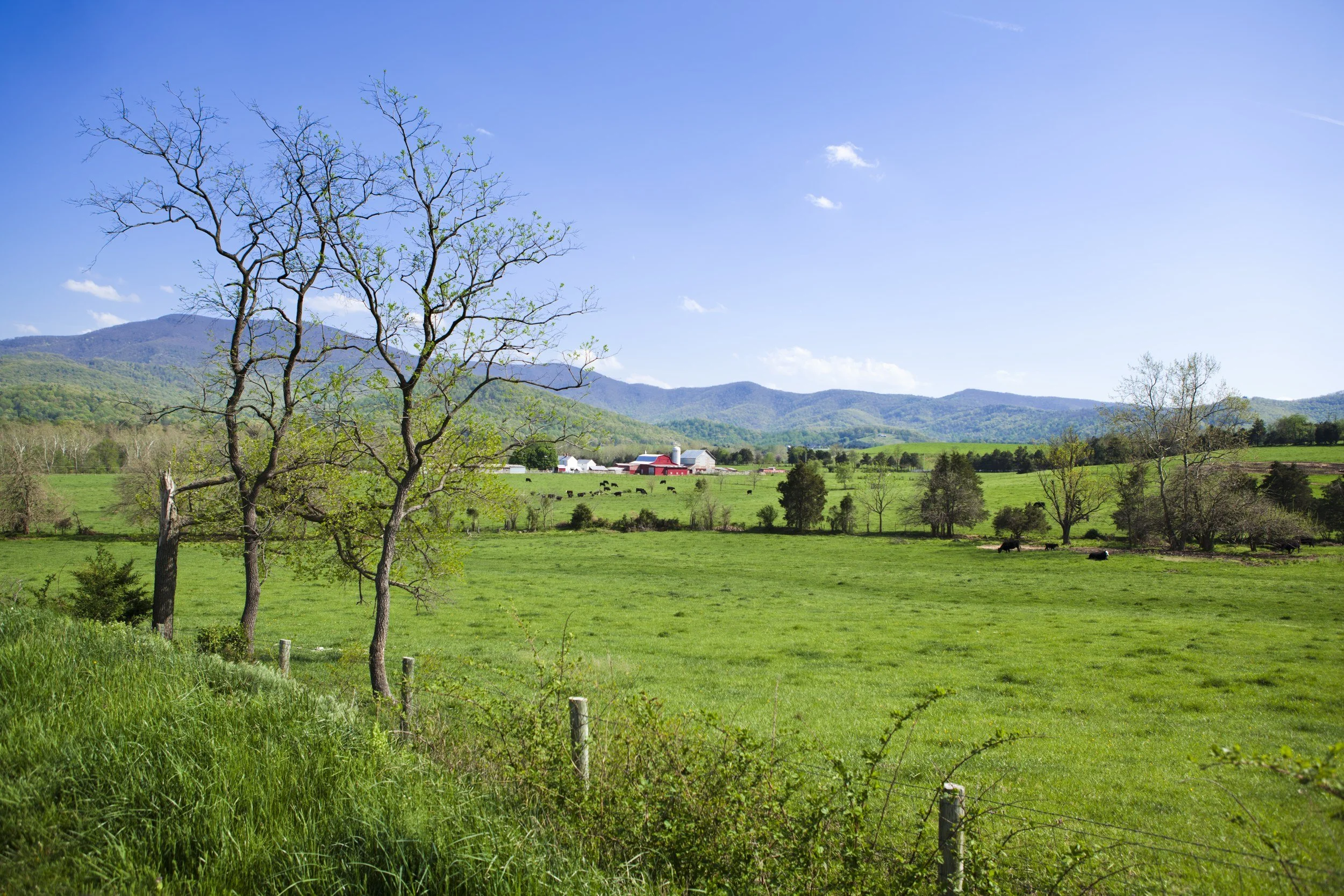 Page County, VA