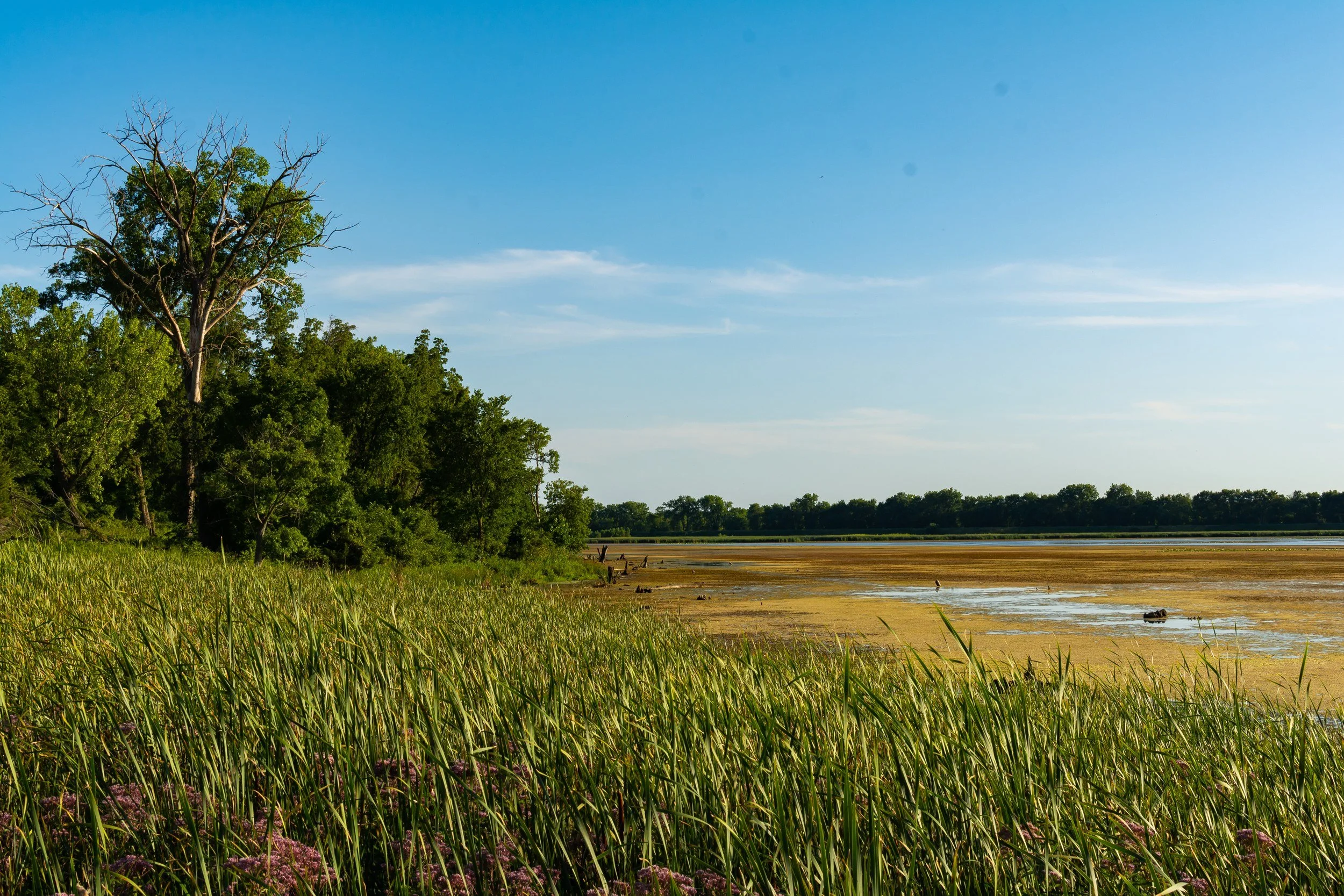 Putnam County, IL