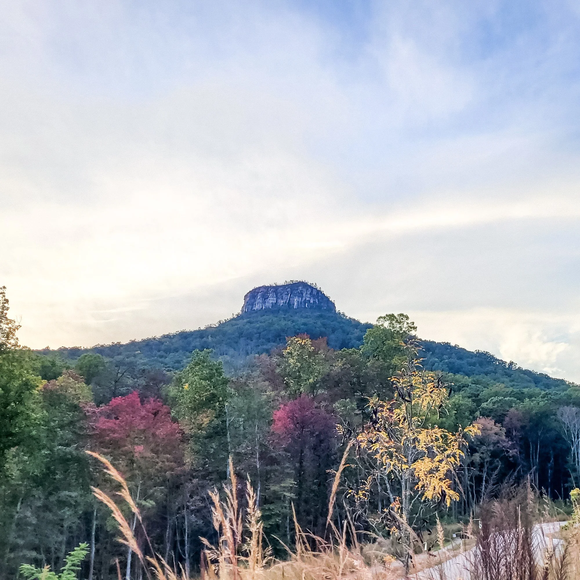 Pilot Mountain's rocky pinnacle rising above a line of trees in North Carolina.