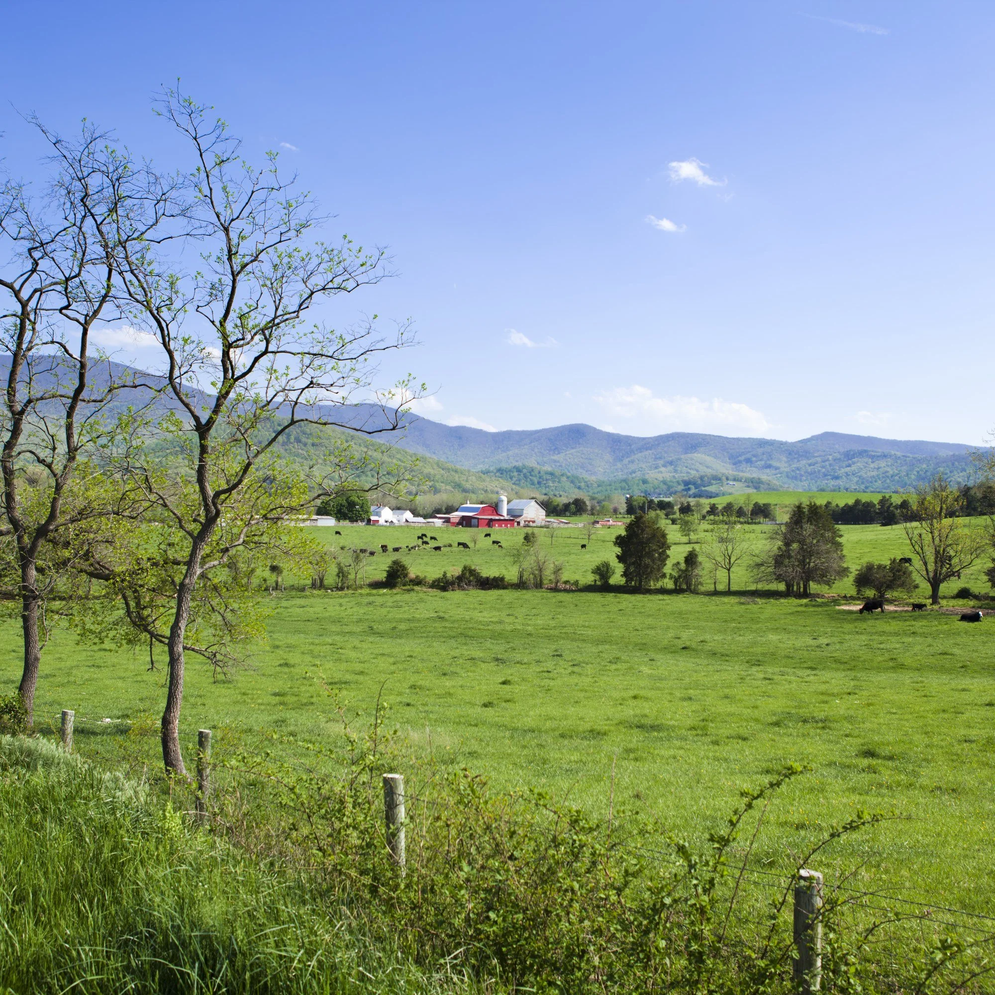 Green fields and hills outside Luray, Virginia, in spring.