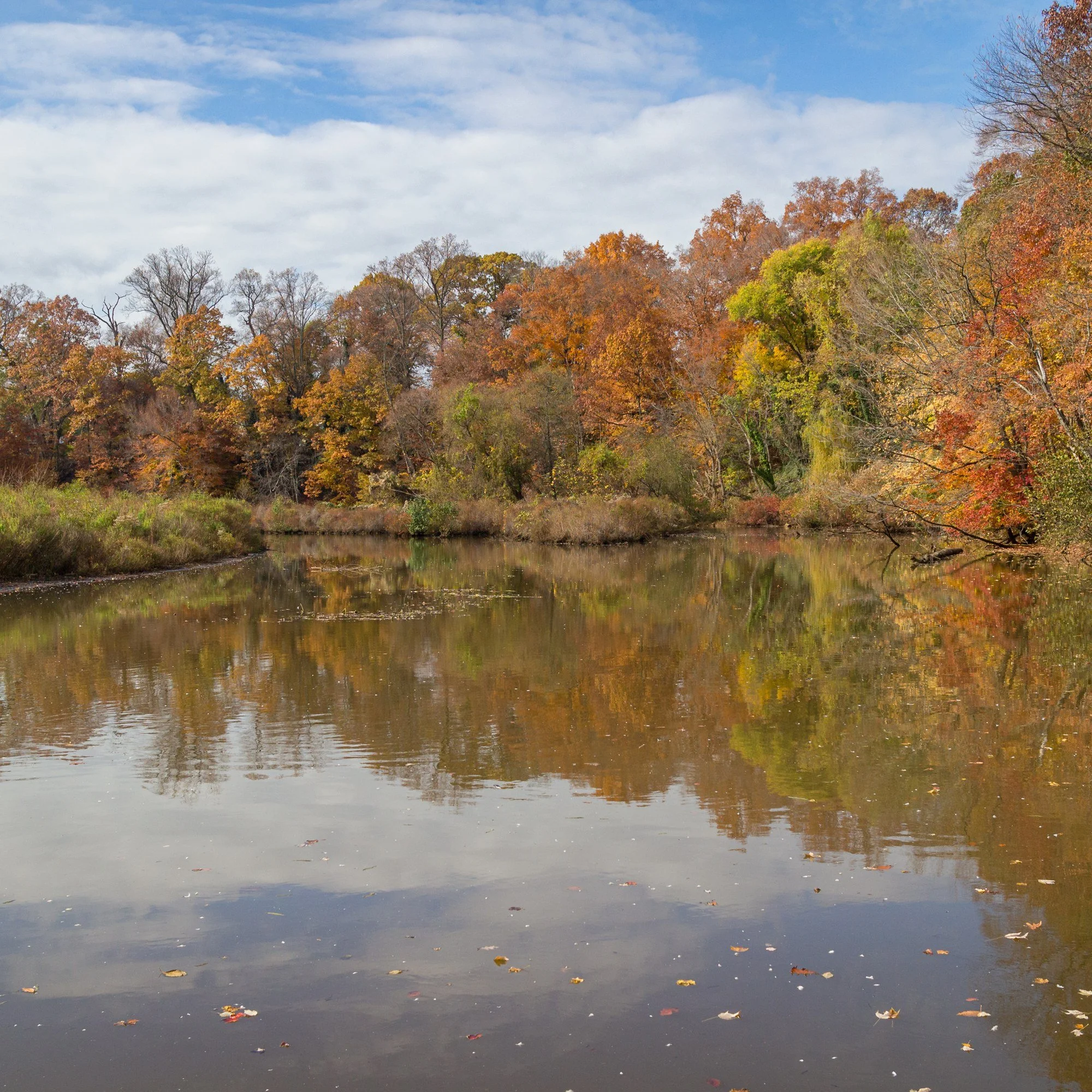 Evans Pond in Haddonfield, New Jersey, with autumn trees reflected in still water.