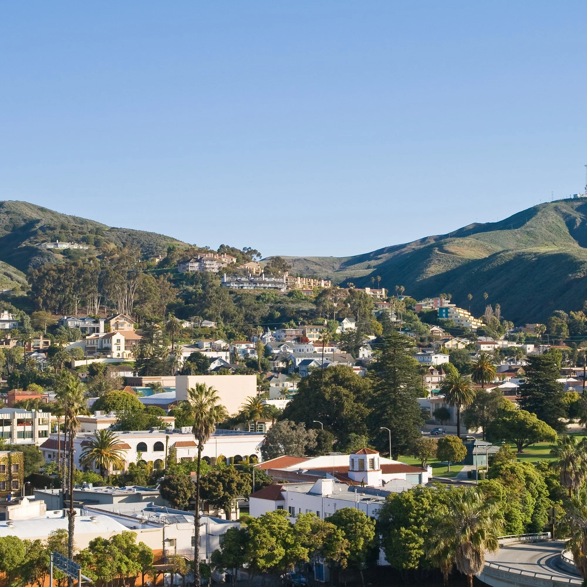 Ventura, California, with homes and palm trees below green hills.
