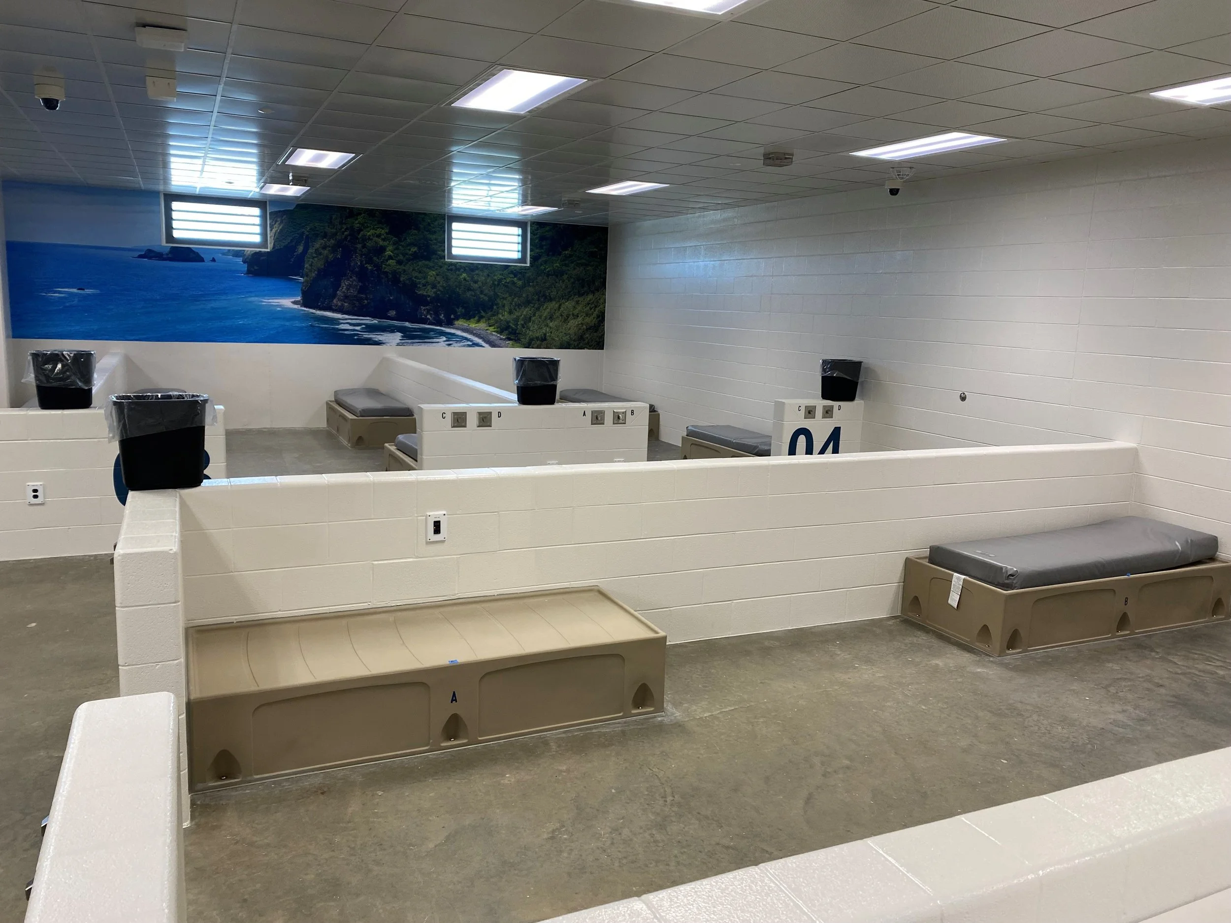 Empty indoor swimming pool changing area with white brick walls, bin attached to the wall, and a mural of a coastal landscape with cliffs and ocean in the background.