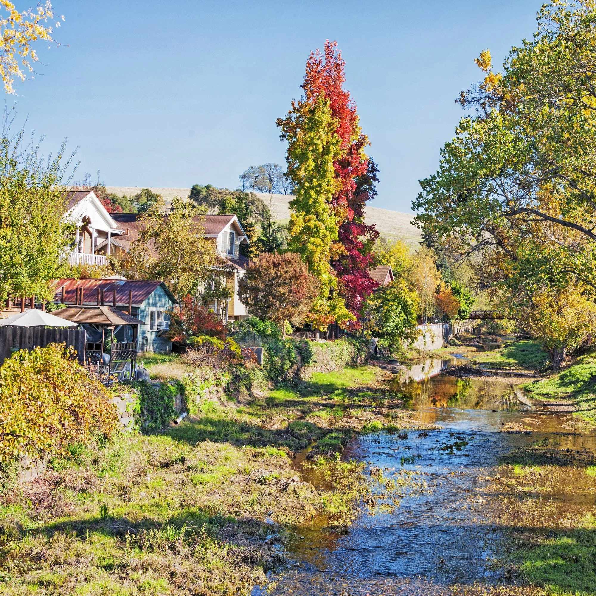 Sutter Creek, California, in autumn, with older houses along the bank and trees in fall color reflected in the creek.