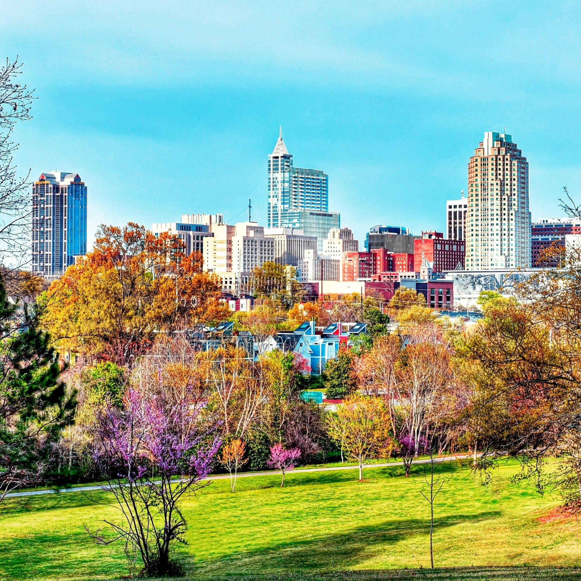 The downtown Raleigh, North Carolina, skyline above a park with flowering trees.