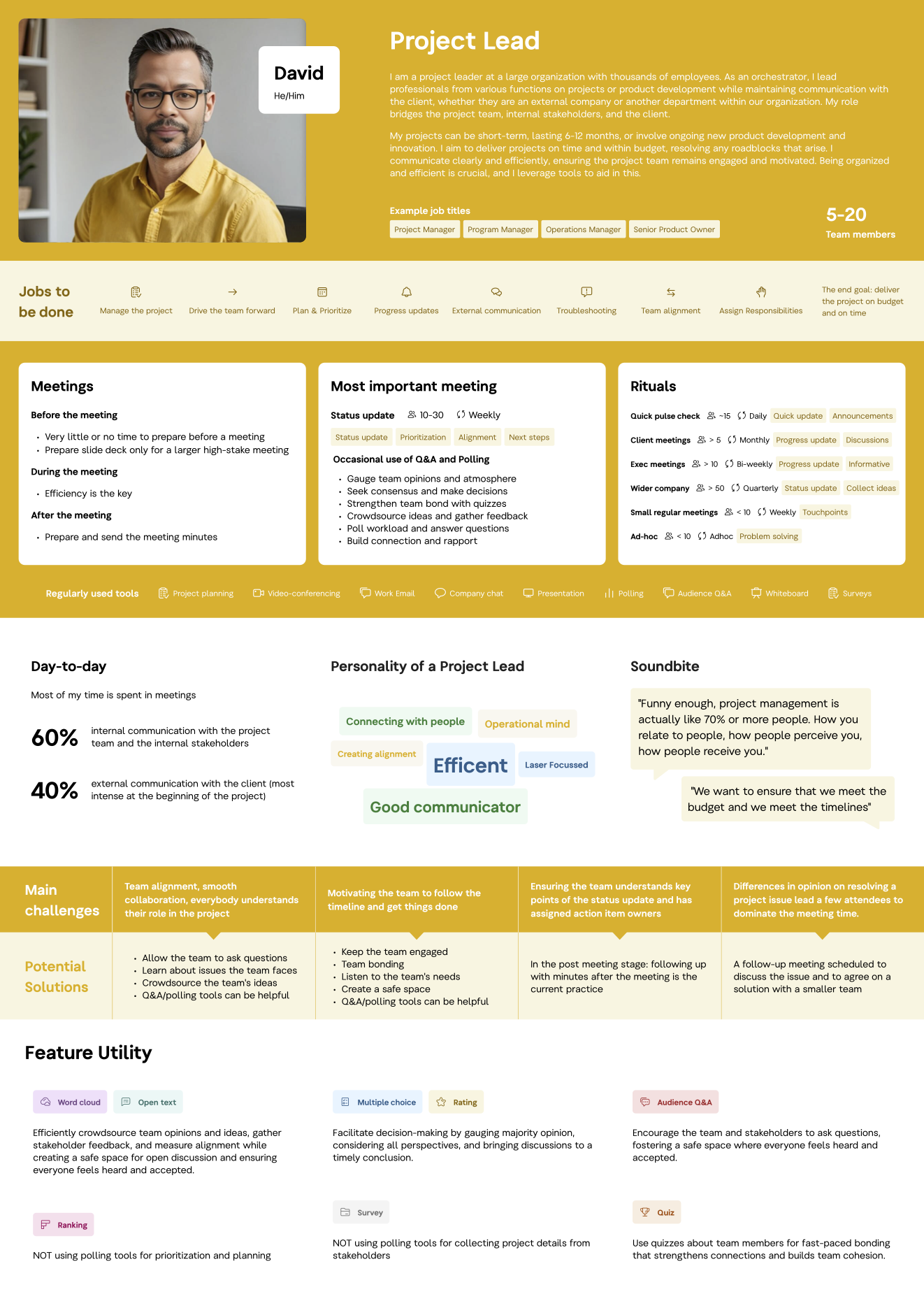 Project Lead persona