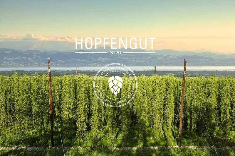 Weinberg mit frisch geschnittenen Reben vor einem See und Bergen im Hintergrund, mit Überlagerungstext und Logo für Hopfengut No20.