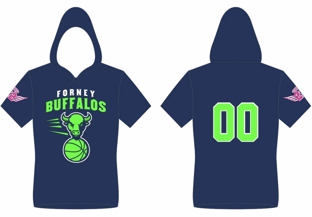 hoodie shirt.jpg