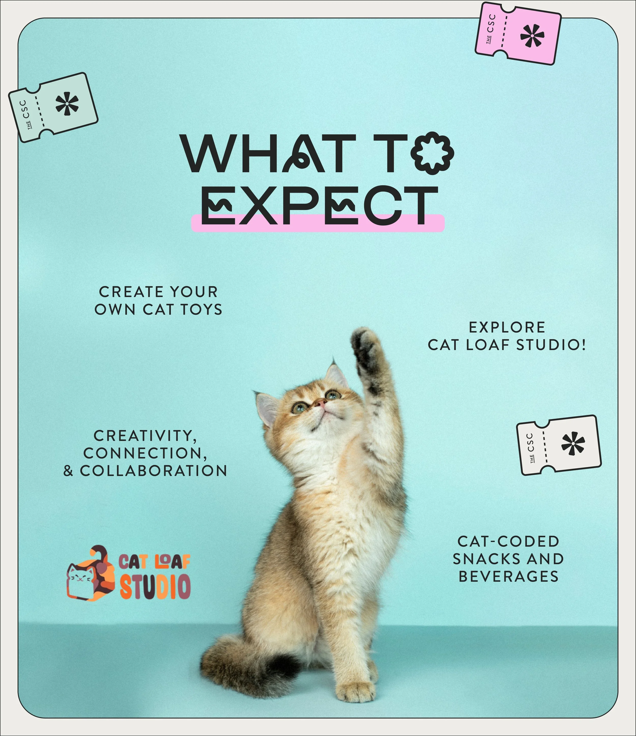 csc-cat-toy-workshop-02.jpg