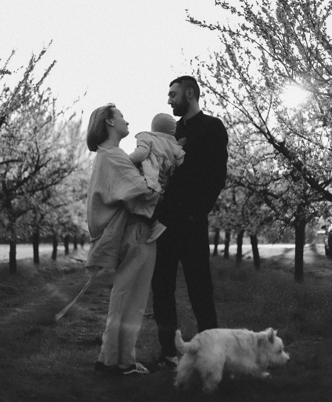 A black and white photo of two adults holding a baby while standing outdoors in an orchard, with a dog on the ground. The sun is shining through the trees.