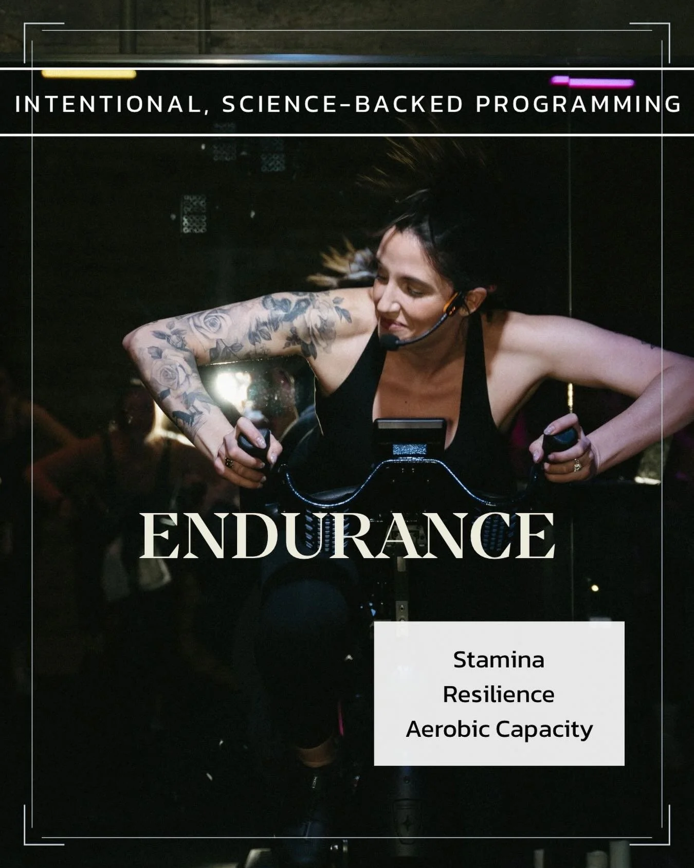 Let&rsquo;s continue the conversation around what makes WellCycle different,  our intentional, science-backed programming.

Next segment highlight: ENDURANCE
 
Stamina. Resilience. Aerobic capacity.
This segment is designed to build cardiovascular en