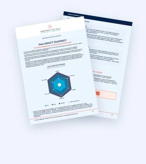 Anonymisierte Beispielseiten des IMPACT SNAPSHOT