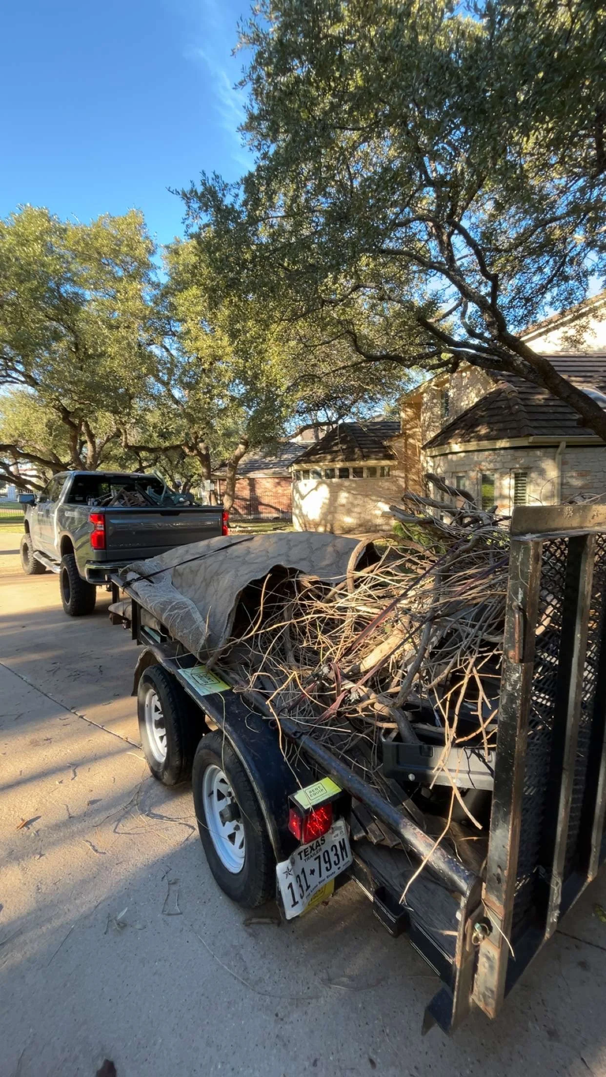 Junk Removal