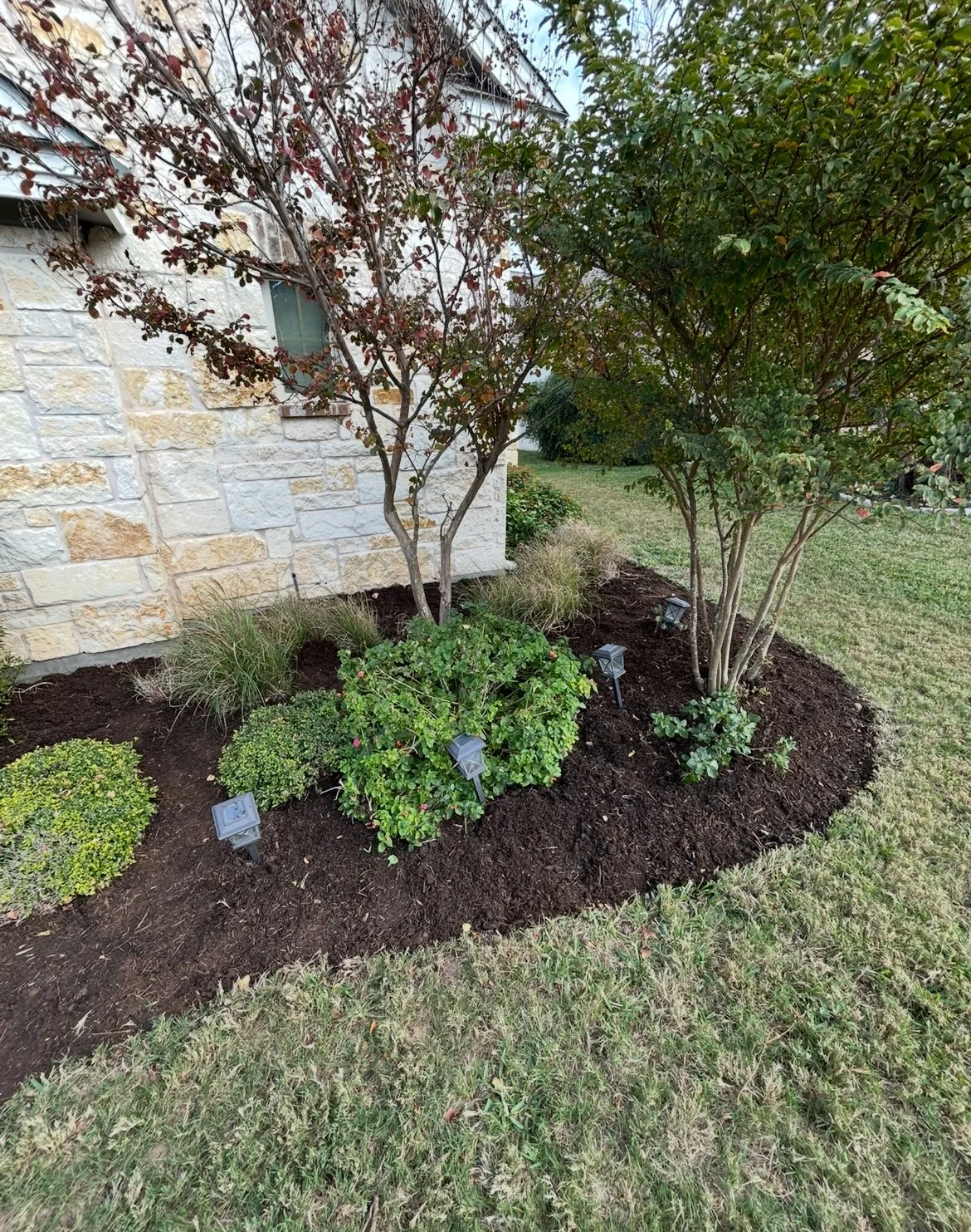 Mulch In Flower Beds