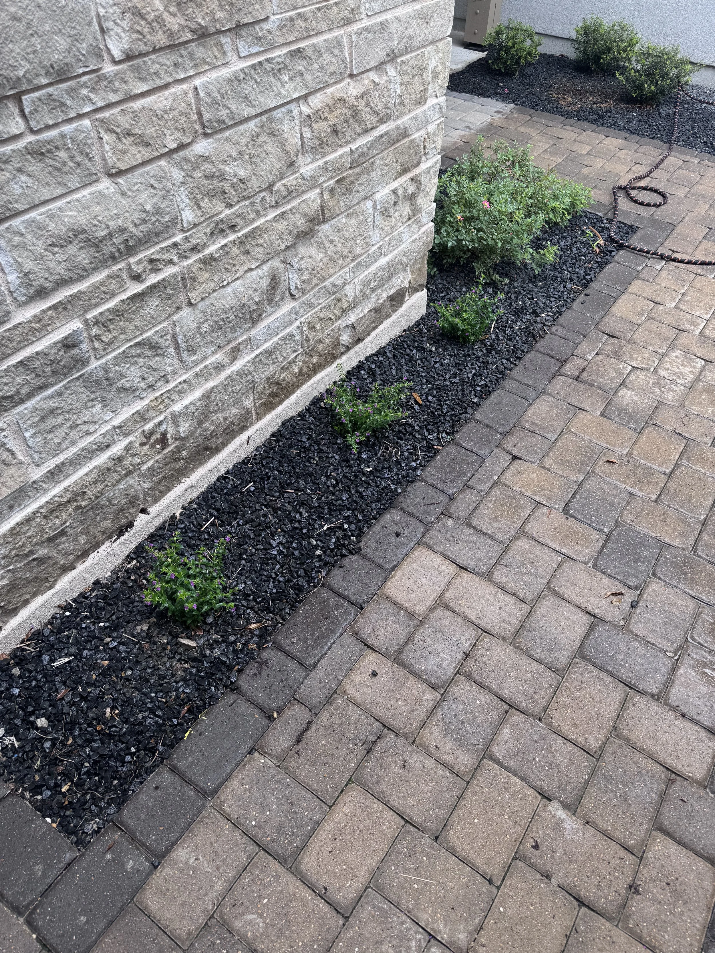 Planting