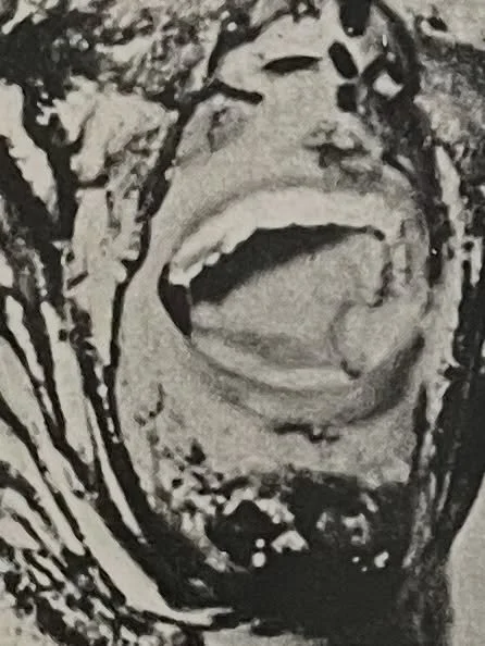 It&rsquo;s the Who Is It? quiz&hellip; And this week will be an absolute shoo-in for anybody that has bought the magazines as each face/body part has been taken from a page in the first three issues of the RRPL magazine&hellip; Answers on Monday. Or 