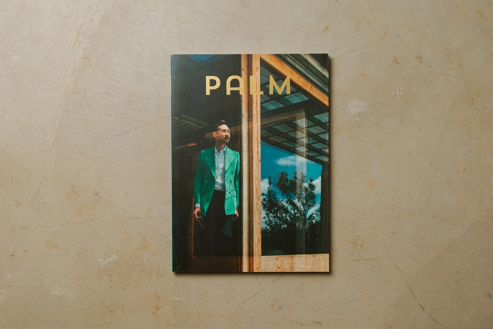 Palm-01.jpg