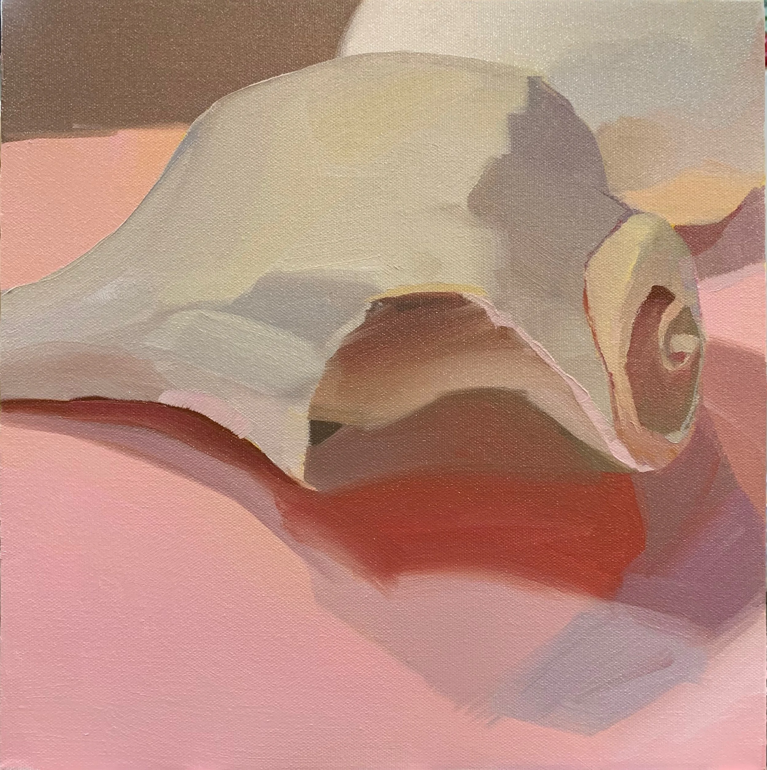 A painting of a seashell on a pink background, rendered in soft, pastel tones.