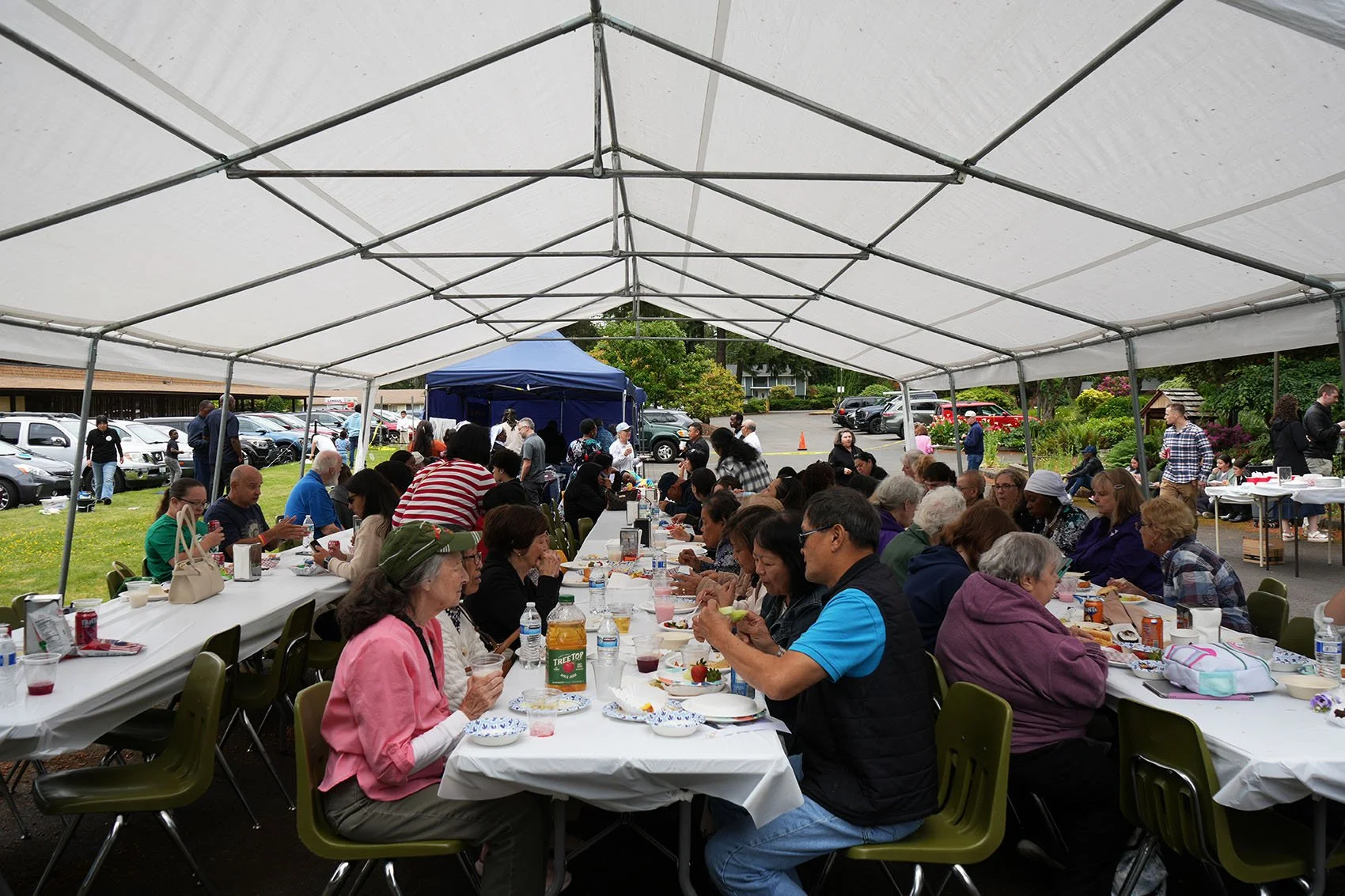 Picnic 6-26.jpg