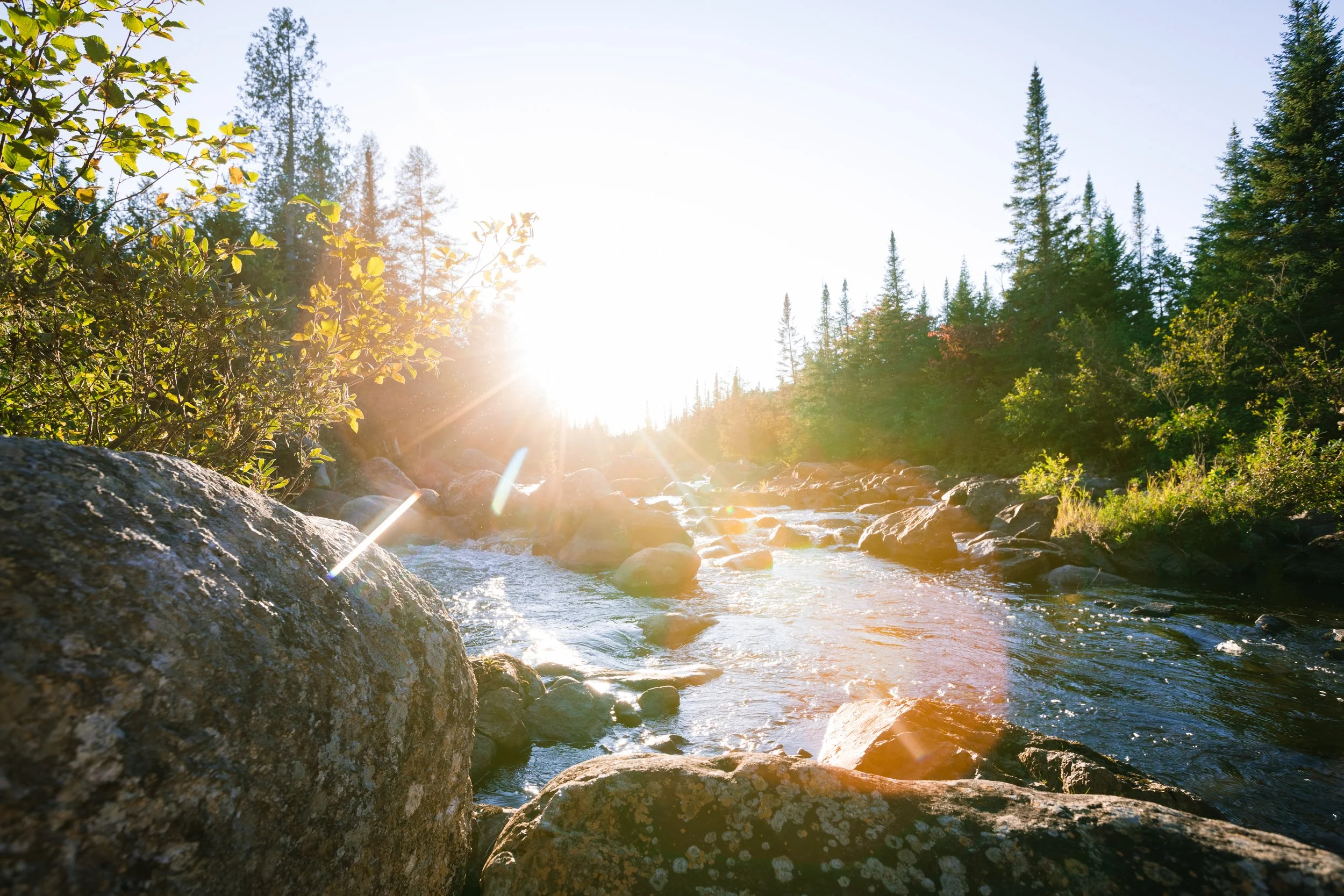 SING YOUR SOUL DAY RETREAT 