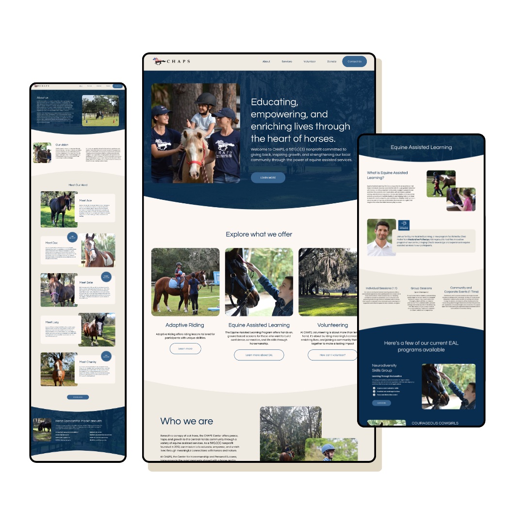 CHAPS Center Portfolio.png