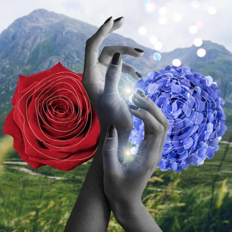 Beyond Symptom Reduction: Expanding Our Capacity for Well-Being