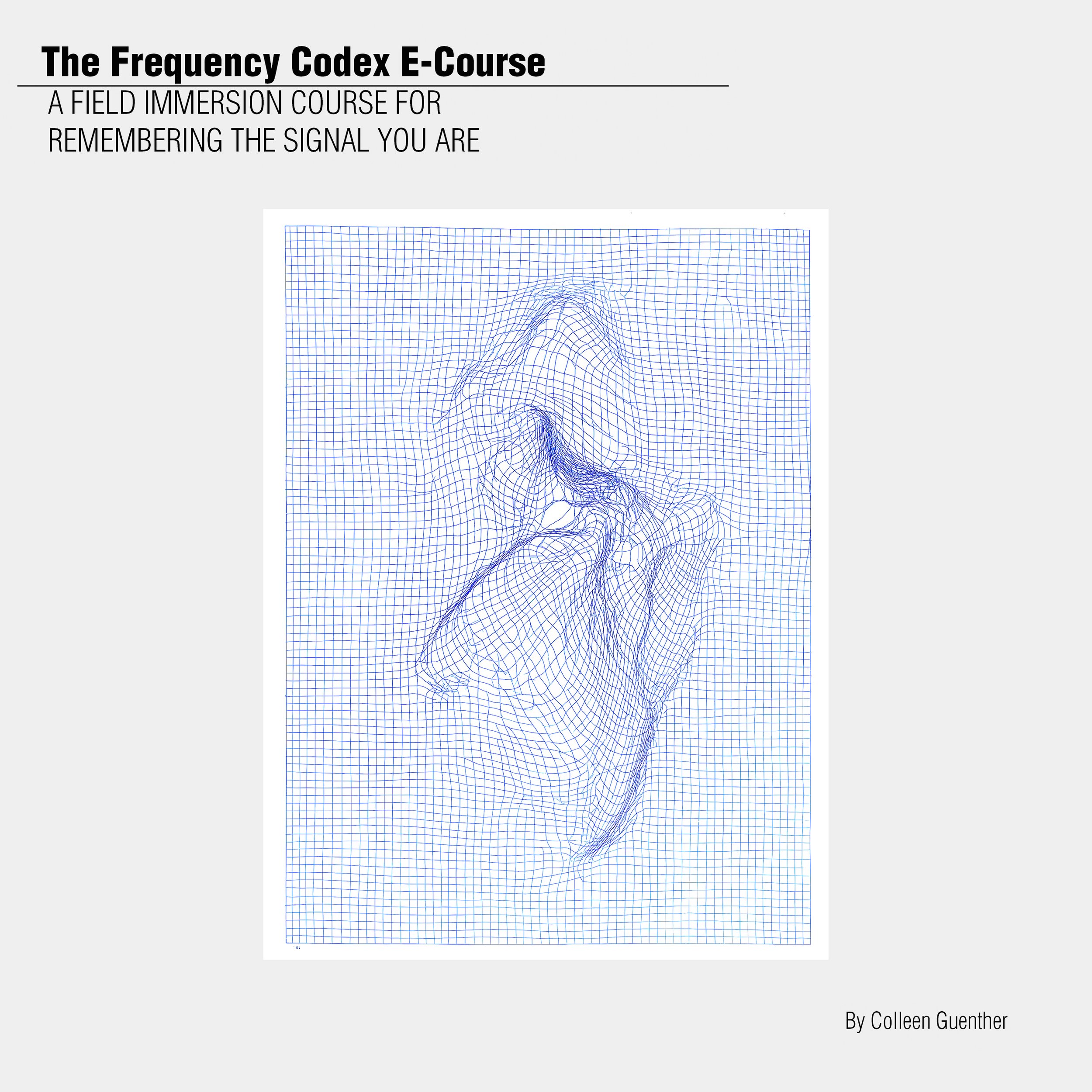 THEFREQCODEXECOURSE_SQUARE copy.jpg