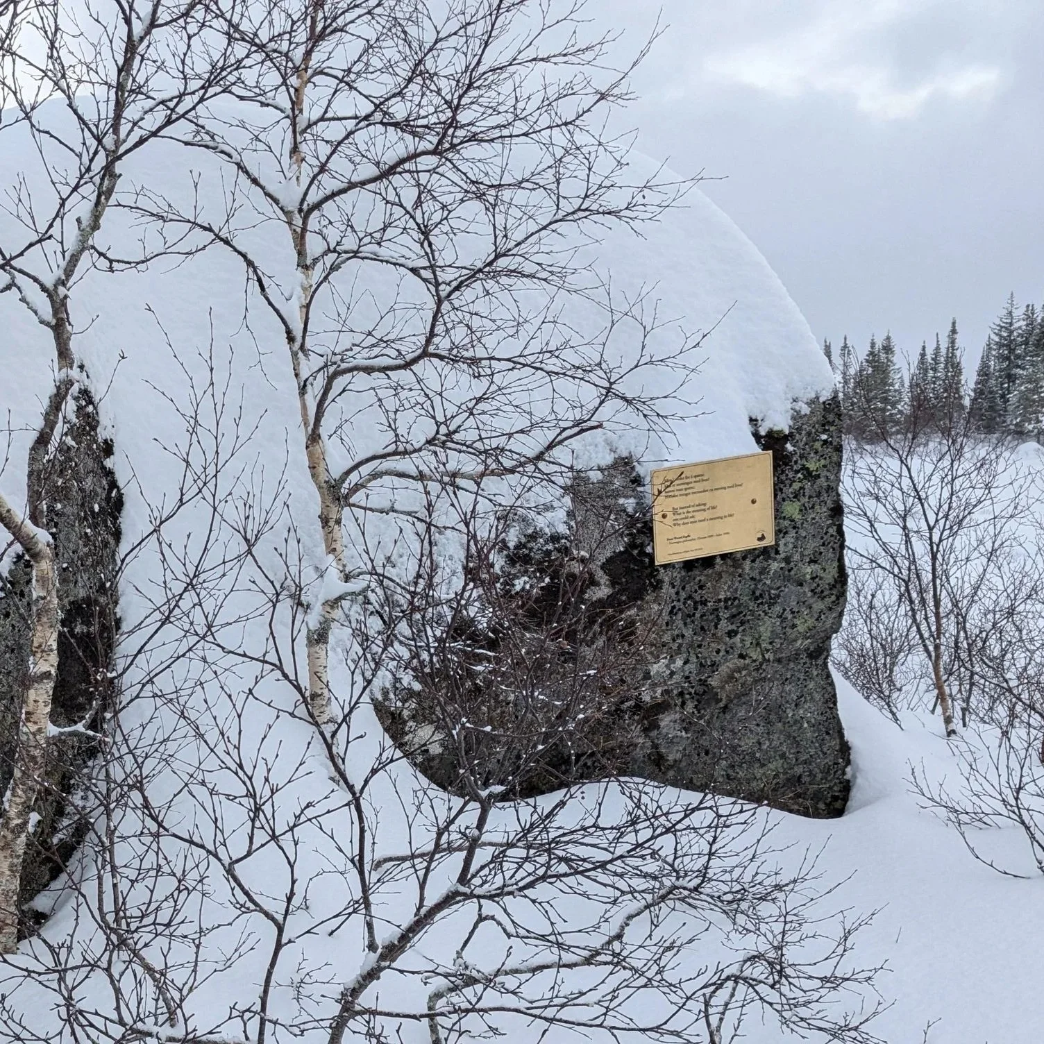 Sitatpunkt Zapffe