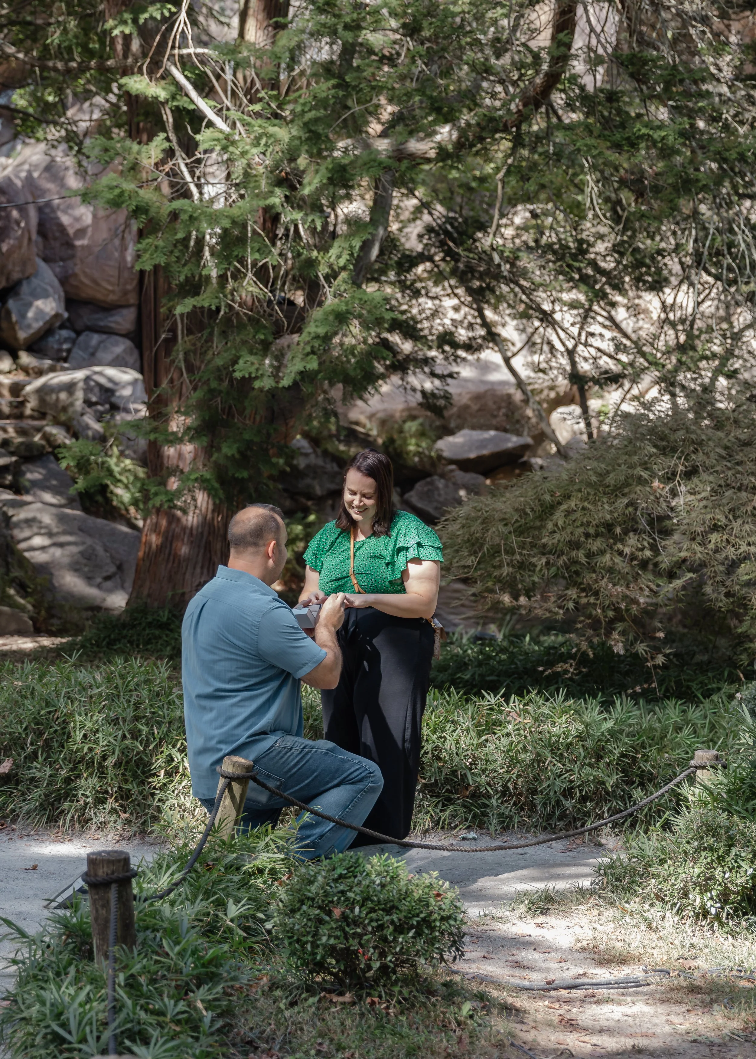 A man kneeling and proposing marriage to a woman in a lush, green outdoor setting with trees and rocks.
