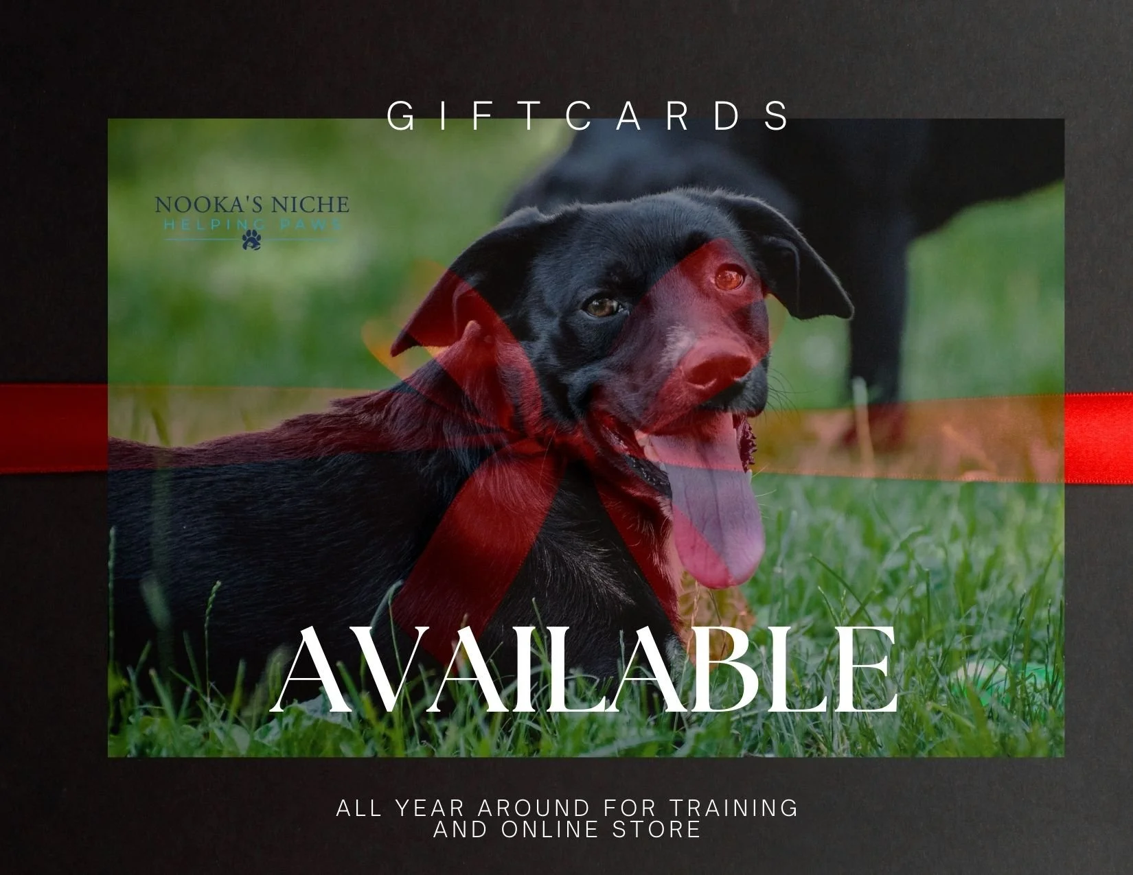 NNHP Website Gift Card.jpeg