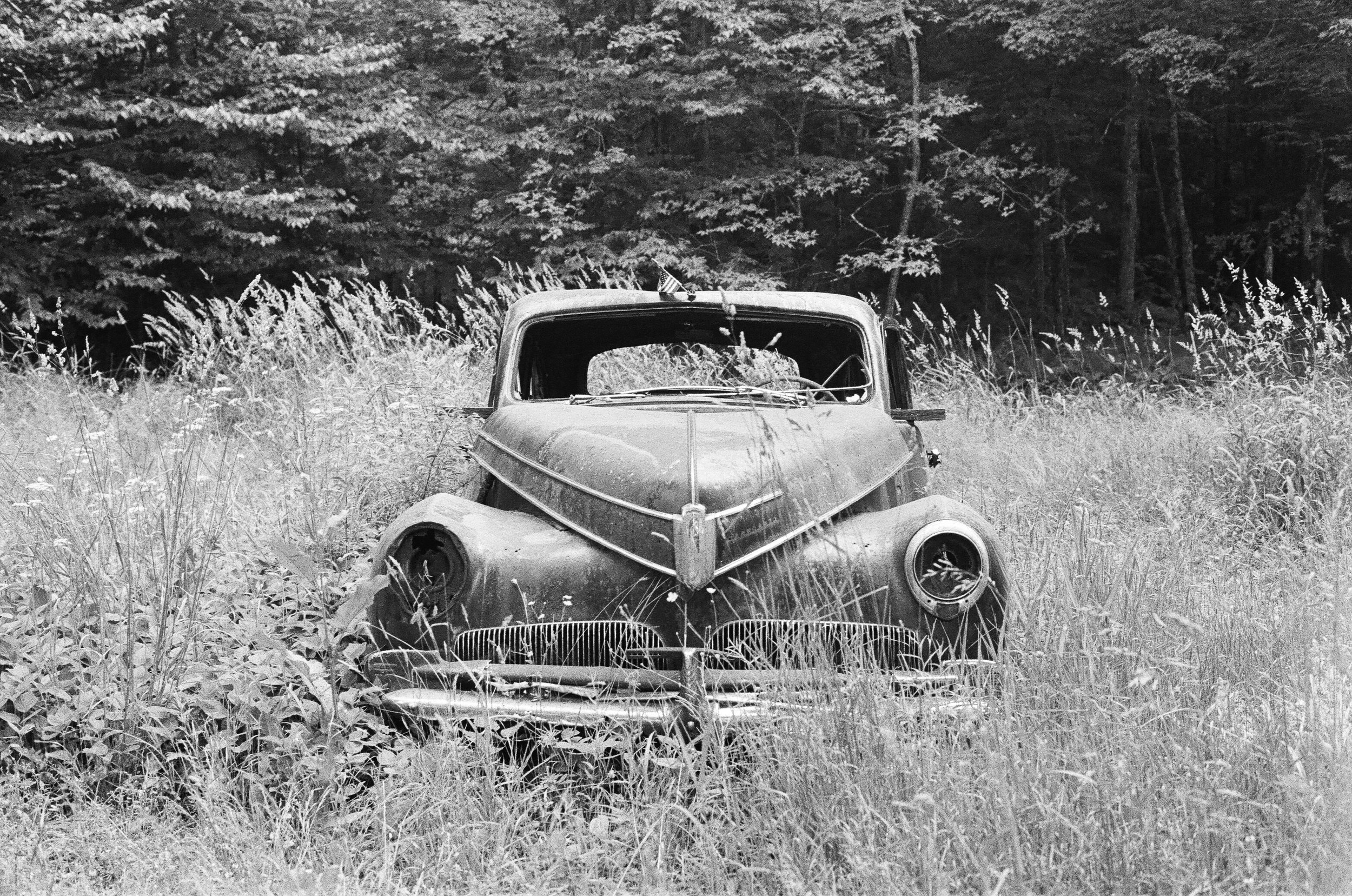 Beauty in Decay