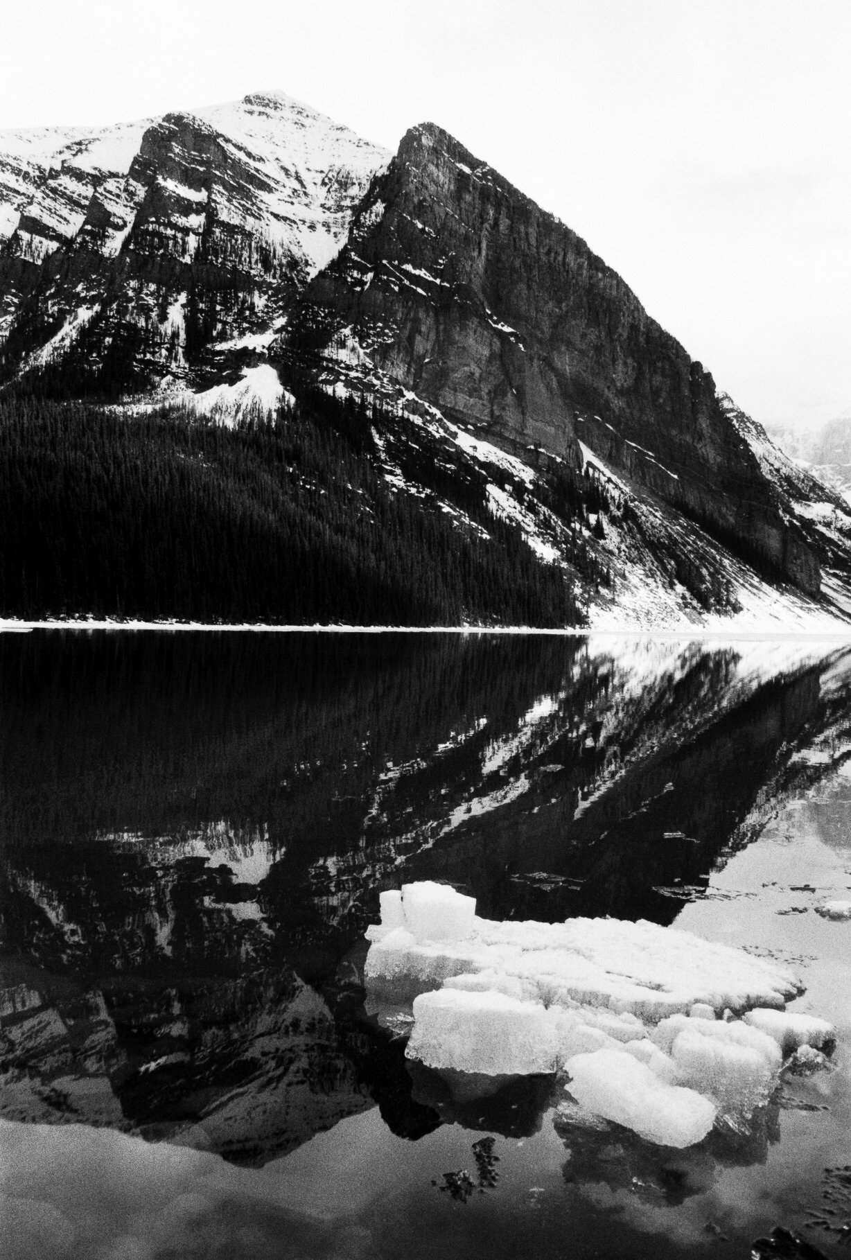 Reflect