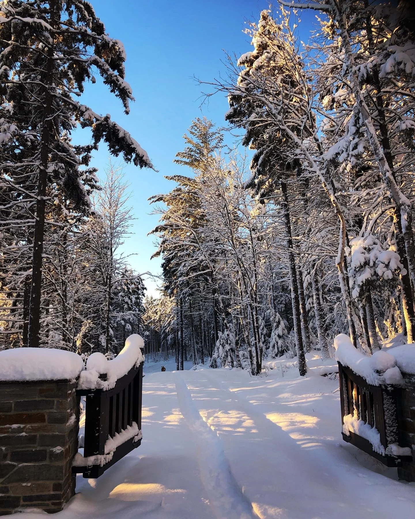 REL Realty Advisors, a Mont-Tremblant luxury real estate developer.