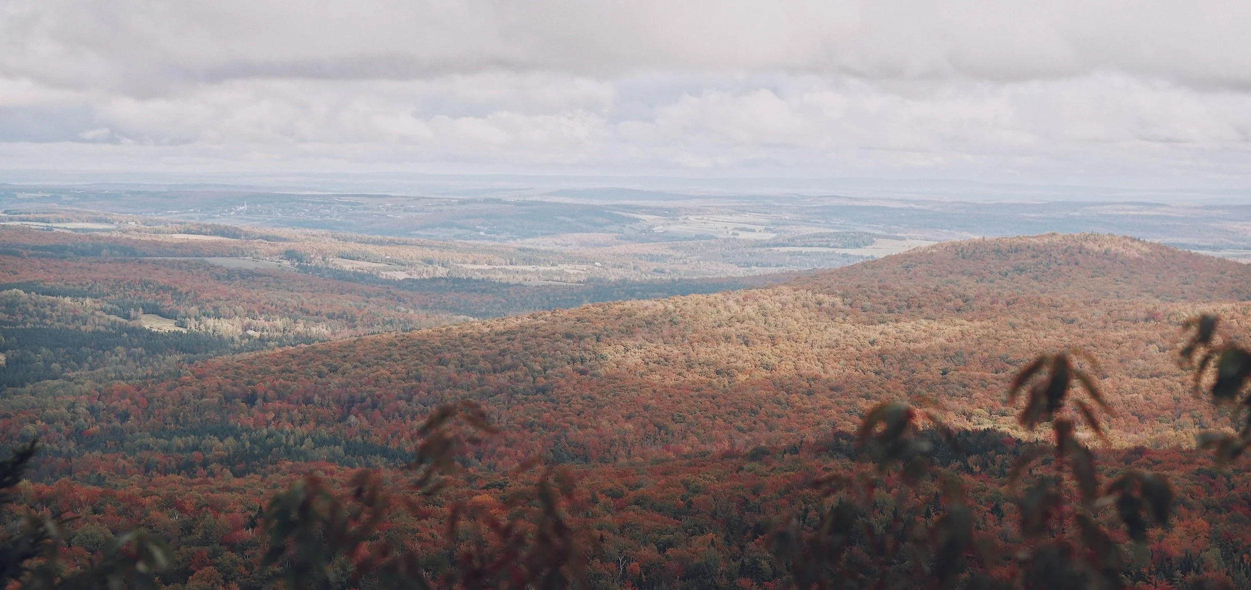 Photograph of a vast fall landscape with rolling hills covered in colorful autumn-colored trees under a cloudy sky.
