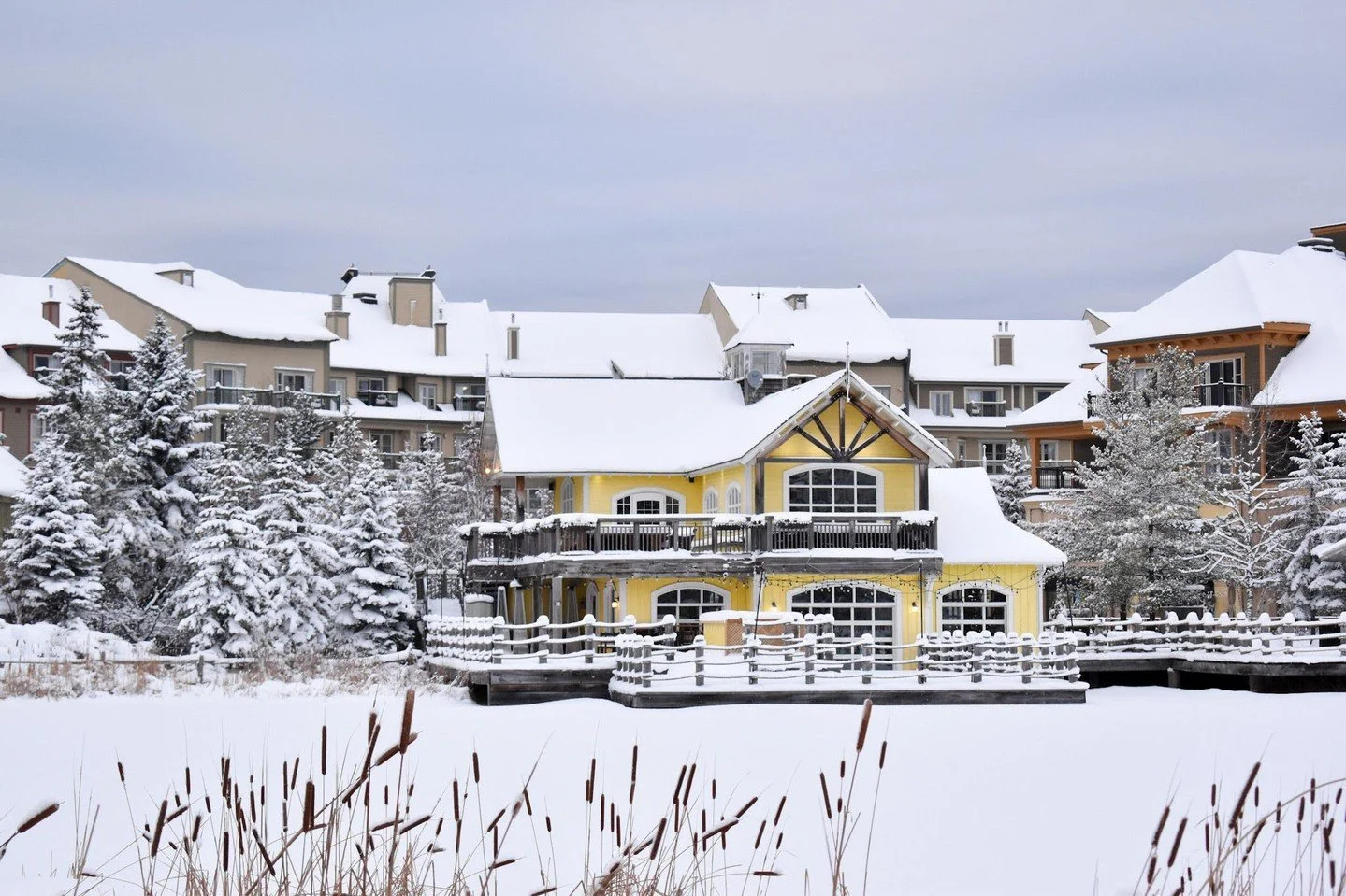 Warm up at Kaytoo with great food, drinks, and a seat by our wood burning fireplace 🔥⁠
⁠
We are the big yellow building on the millpond! ⁠
⁠
#kaytooatblue