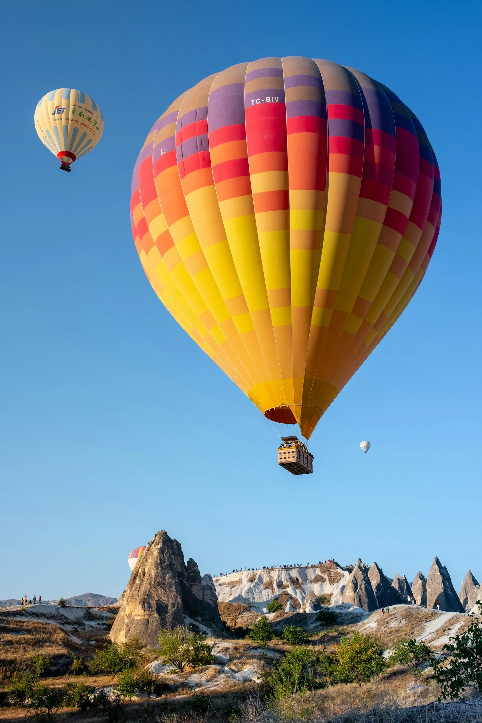 unsplash-image-Jf8MXyL_TWY.jpg