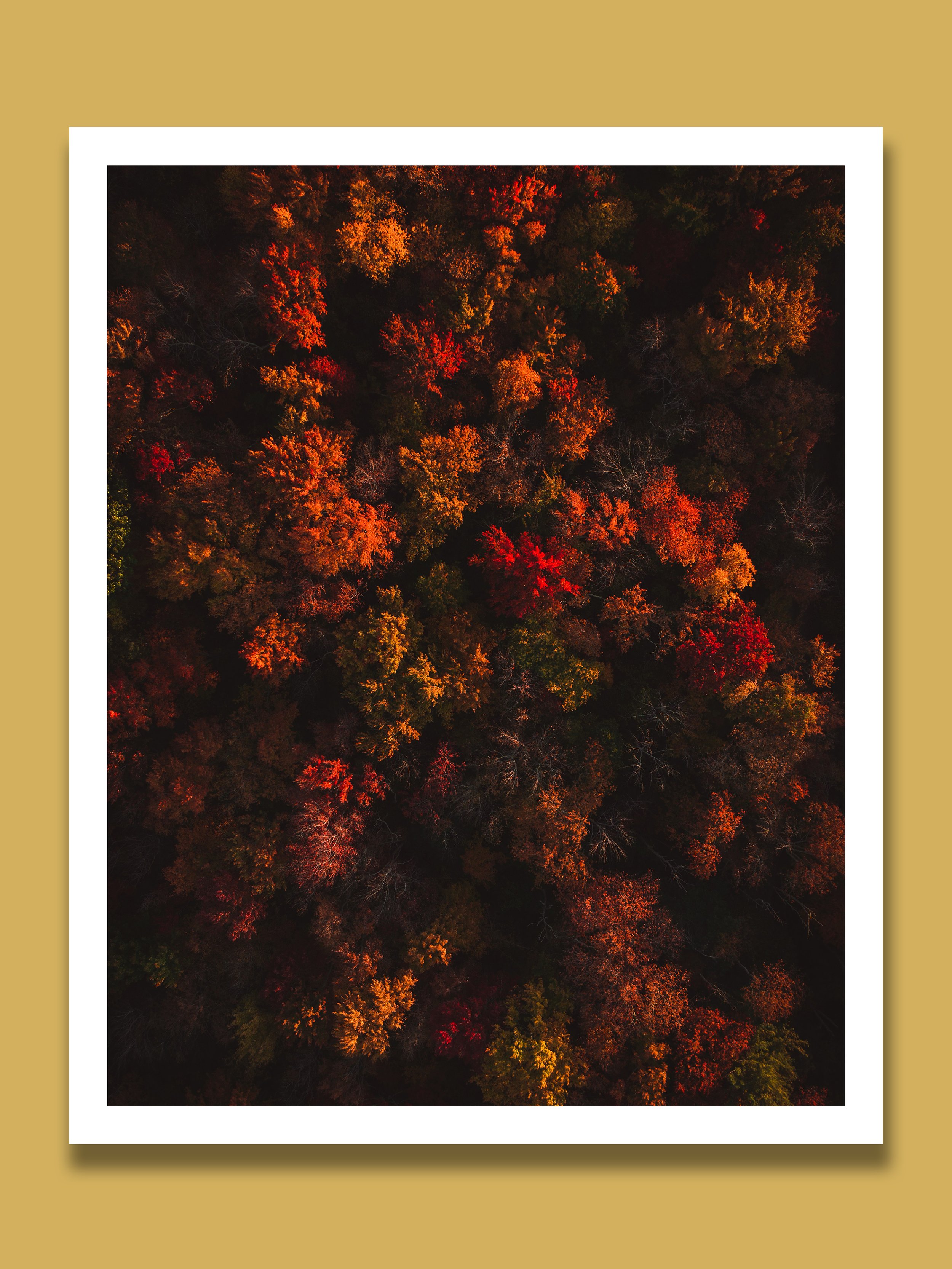 DS_LastLight-INSET-gold.jpg