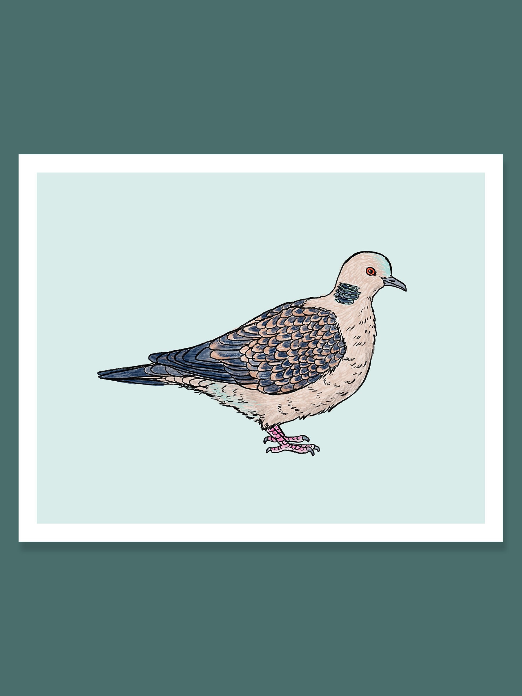 Turtledove