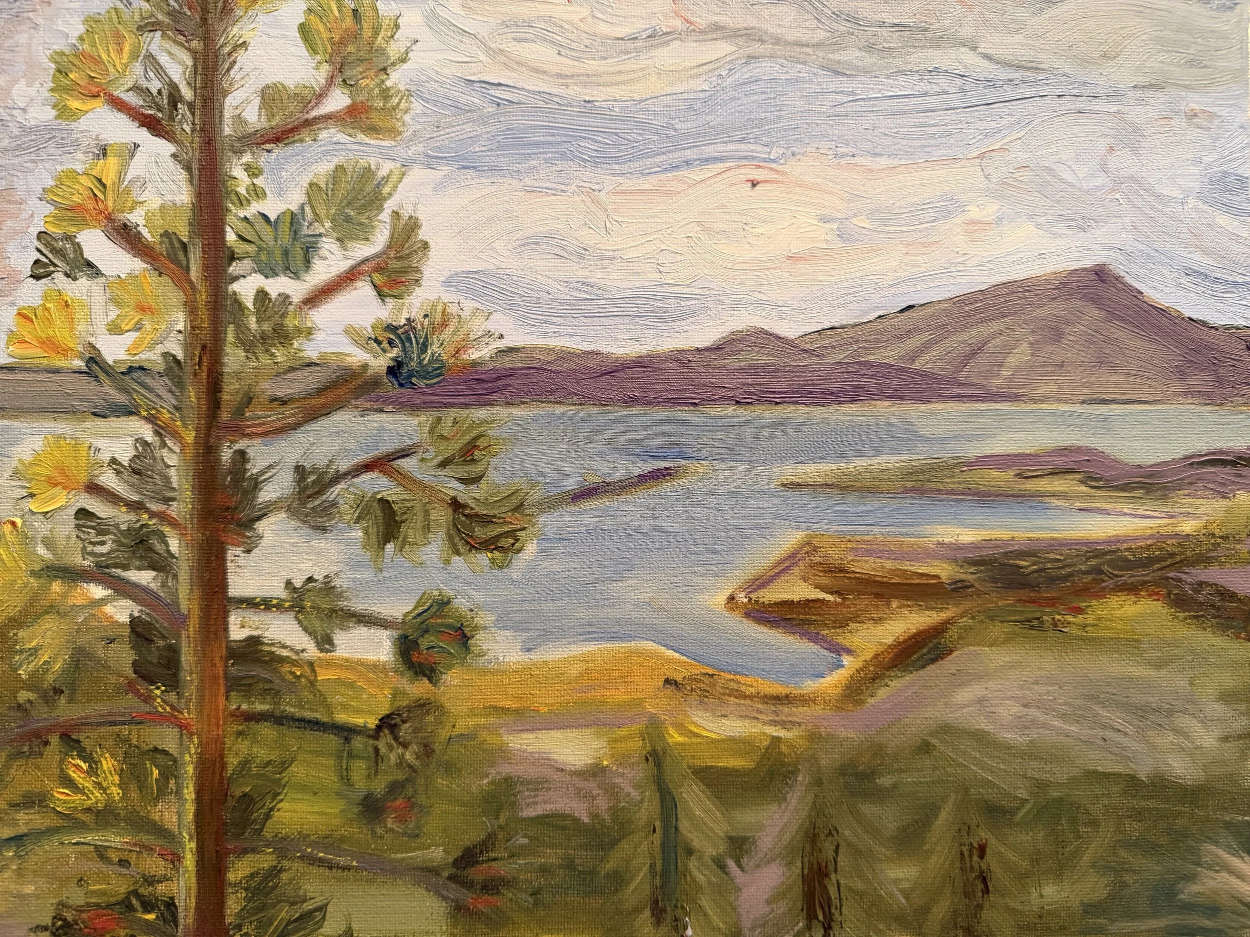 Early landscape, view towards Mt. Tam