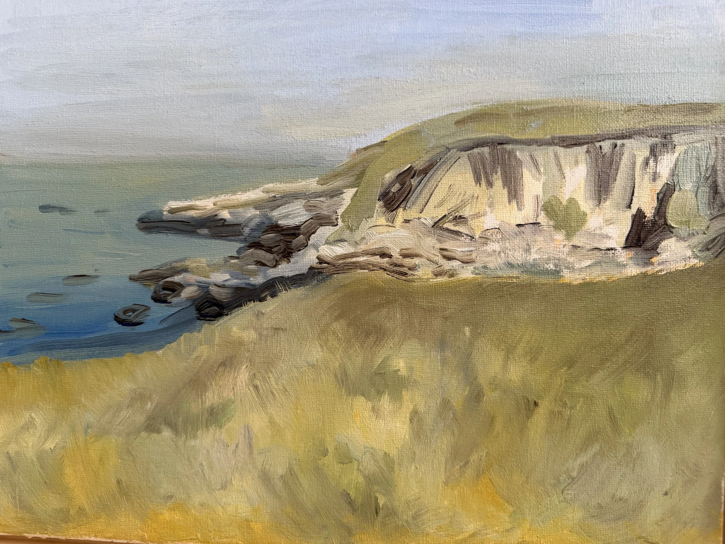 Salt Point 16x20 oil on canvas