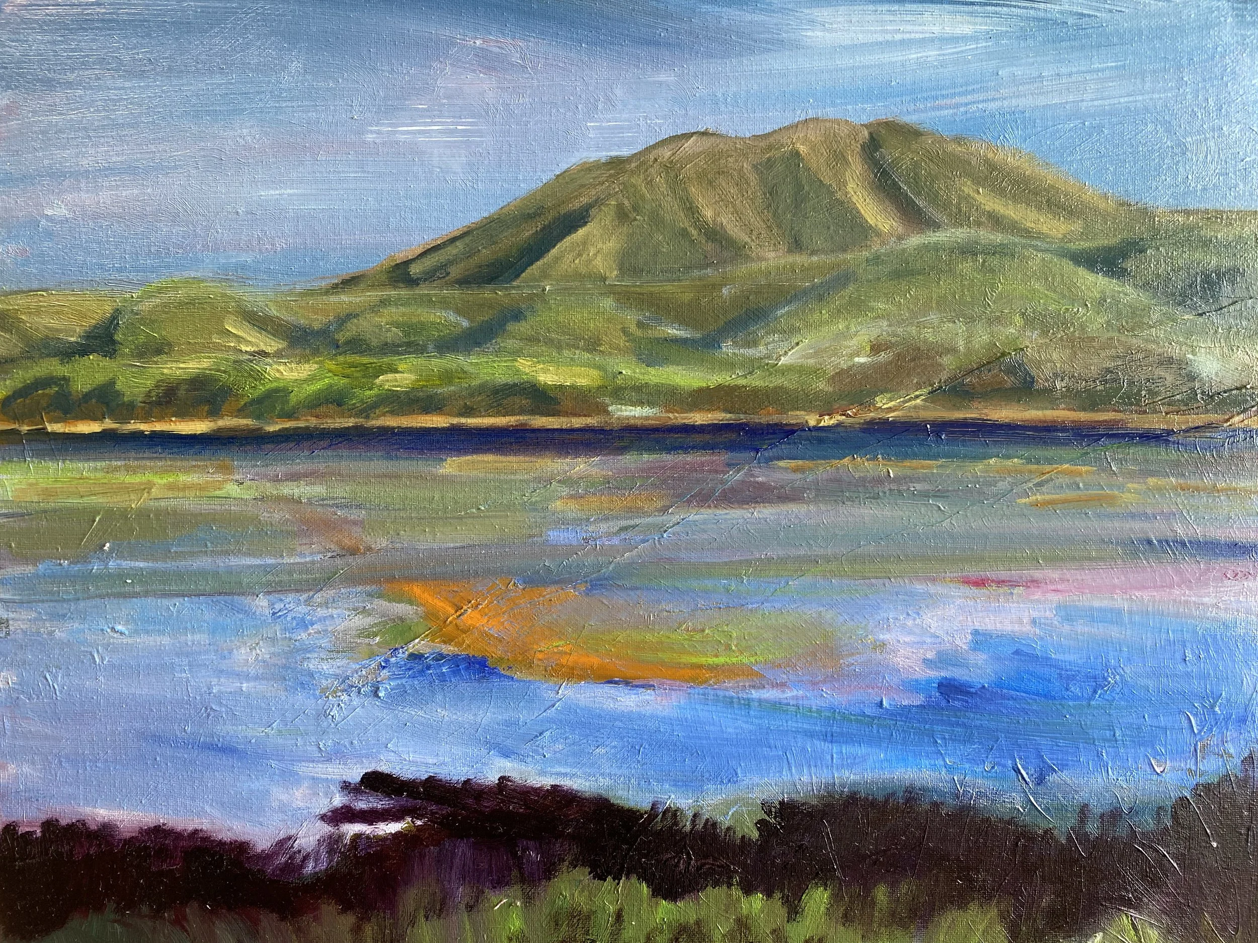 Afternoon light in Inverness, Tomales Bay 16x20 oil on canvas 2025