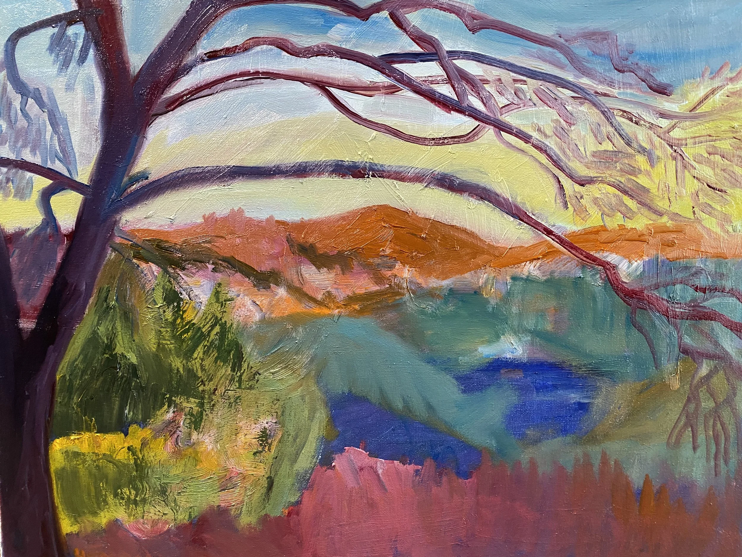View over Wildcat Canyon from the old school trail at sunset. 2026 16x20 oil on canvas. 