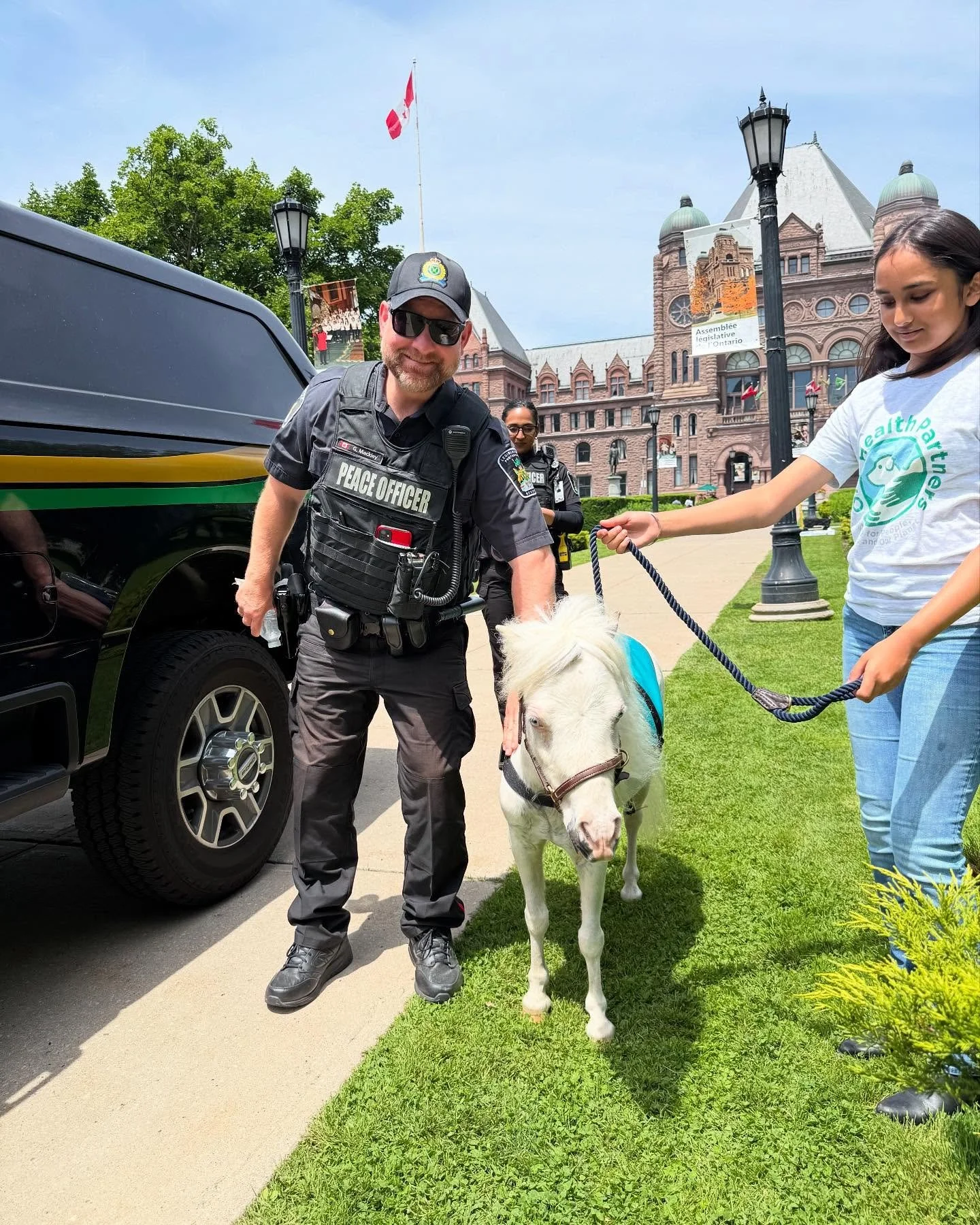 Little Horse, Big City!
I promise officer, it was only a small munch of ☘️🍀at Queens Park Legislative Building! 
#animalassistedtherapy #therapyhorse #blueeyedhorse #kindnessmatters  #stash #miniaturehorse #positivequotes #cuteanimals #hugahorse #