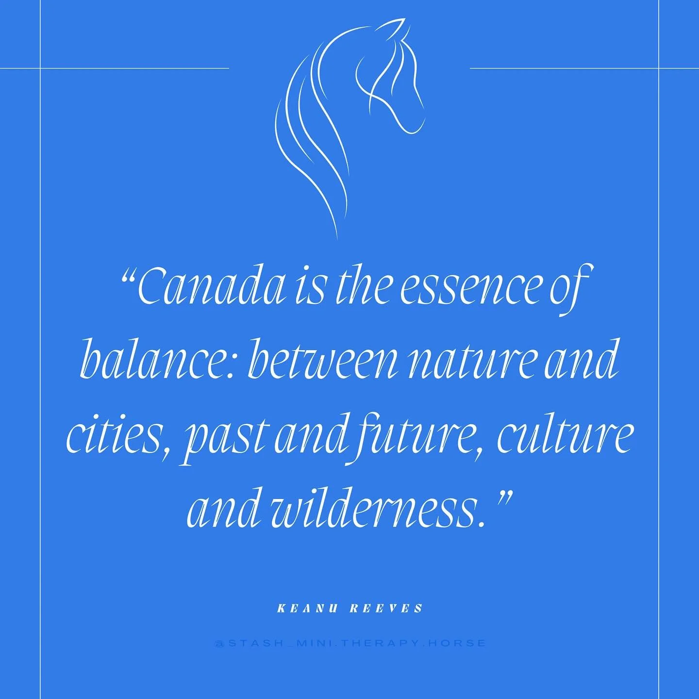 Canada's coolest stallion Keanu Reeves said 
“Canada is the essence of balance — between nature and cities, past and future, culture and wilderness.”
As a little therapy horse trotting between farms and hospitals, I’ve seen t