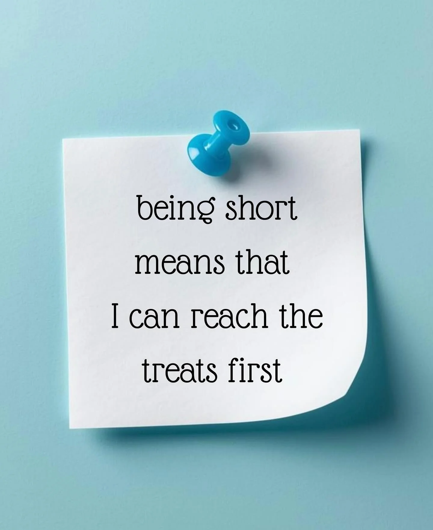Good things do come in small packages. Like treats. 🍎🍏🥕🍬
#animalassistedtherapy #therapyhorse #blueeyedhorse #kindnessmatters  #stash #miniaturehorse #positivequotes #cuteanimals #hugahorse #cuddles #torontotherapyanimal #certifiedtherapyanimal