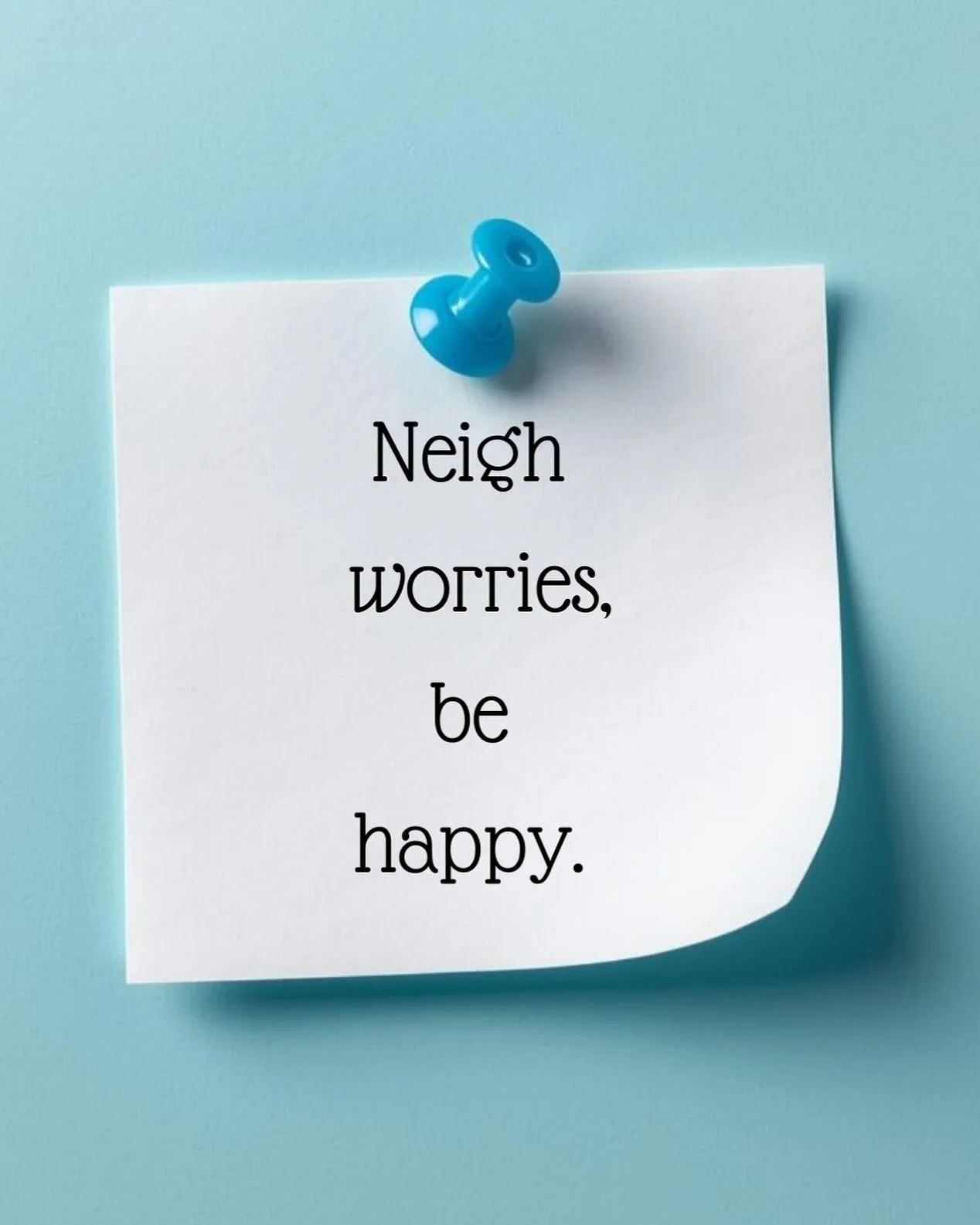 Just like the song but with an equine twist. 🩵 Stash 
#animalassistedtherapy #therapyhorse #blueeyedhorse #kindnessmatters  #stash #miniaturehorse #positivequotes #cuteanimals #hugahorse #cuddles #torontotherapyanimal #certifiedtherapyanimal #certi