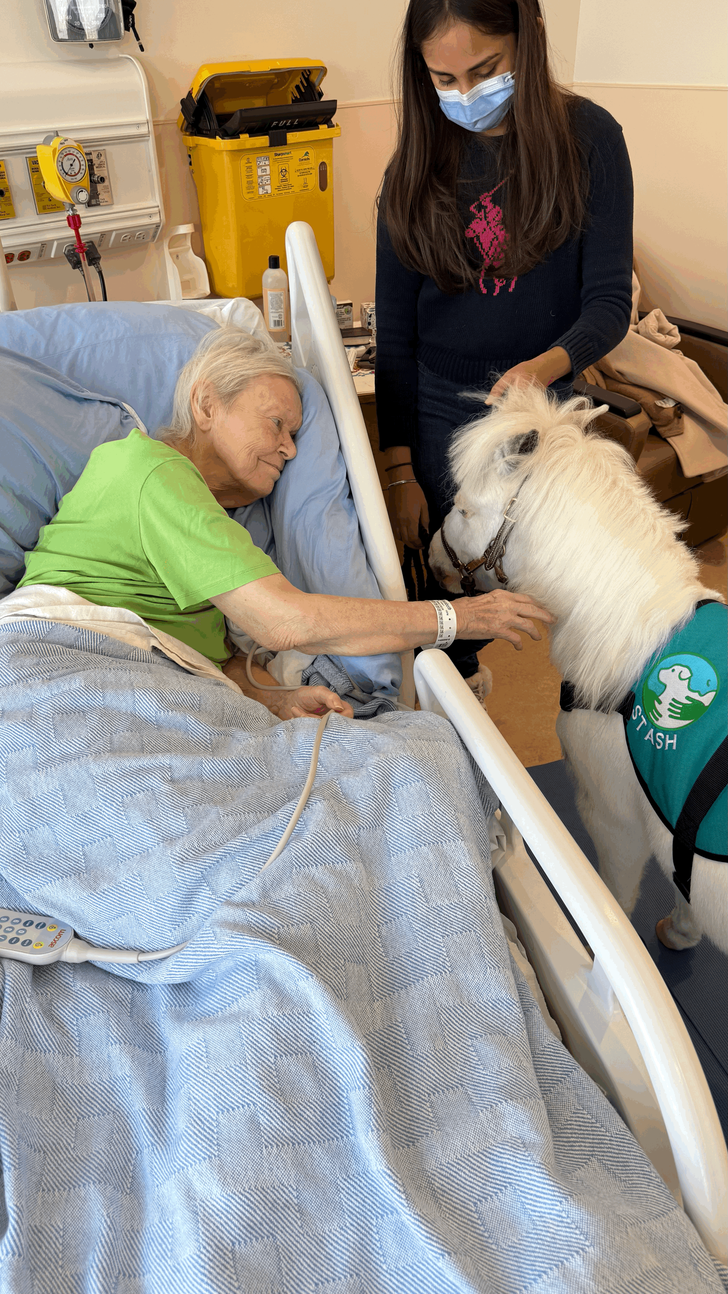 Hennick Bridgepoint Hospital, Toronto