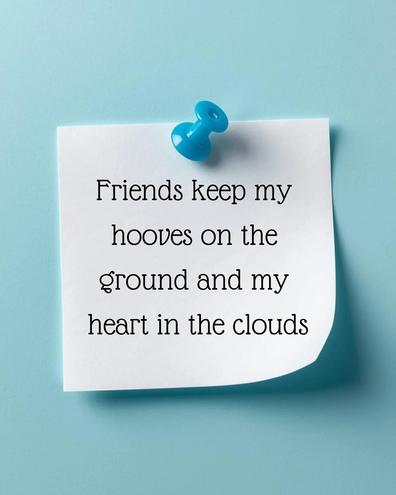 Some days, life feels like a gallop through mud and that&rsquo;s when good friends matter most.

They are the ones who steady your hooves when you stumble and brush the dust off your coat.  They remind you to keep trotting forward.

Friends keep my h