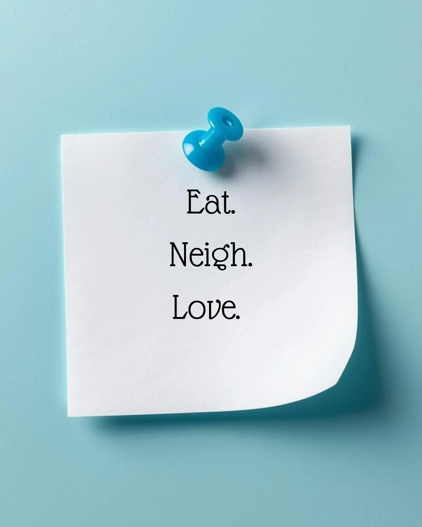 Eat. Neigh. Love. That&rsquo;s my motto! A few treats, some happy whinnies, and a whole lot of love to share wherever I go. Life&rsquo;s better when you sprinkle kindness (and cookies) along the way!

🩵Stash and @onehealthpartners 

#EatNeighLove #S