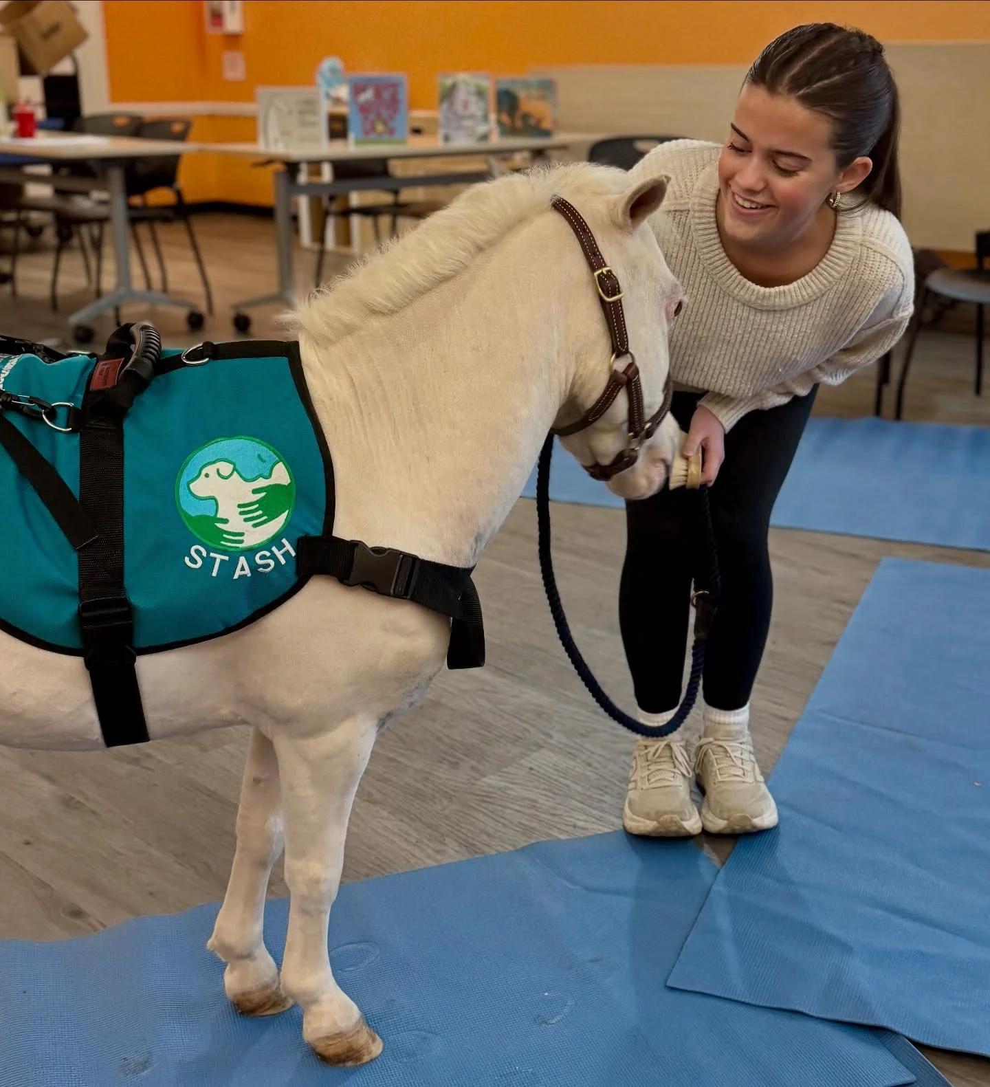 A lovely visit to the Milliken Markham Library and Community Centre today!

So many smiles, gentle pats, and curious little hands learning that kindness can come with four hooves and a soft nose. 🩵

A big thank-you to @becca__eq who joined me to hel